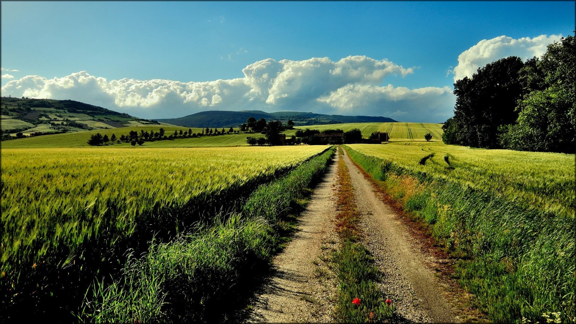farm, land, cloud - sky, rural scene, diminishing perspective, beauty in nature, day, field, 1080P, the way forward, dirt road, path, tranquility, environment, HD Wallpaper