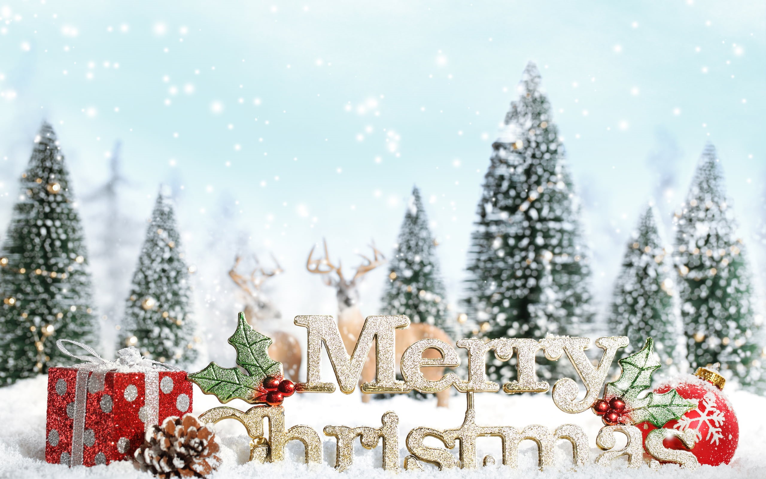 merry, spruce, Christmas, christmas ornament, plant, bump, new yaer, pine tree, HD, christmas tree, outdoors, fir tree, blur, snowing, HD Wallpaper