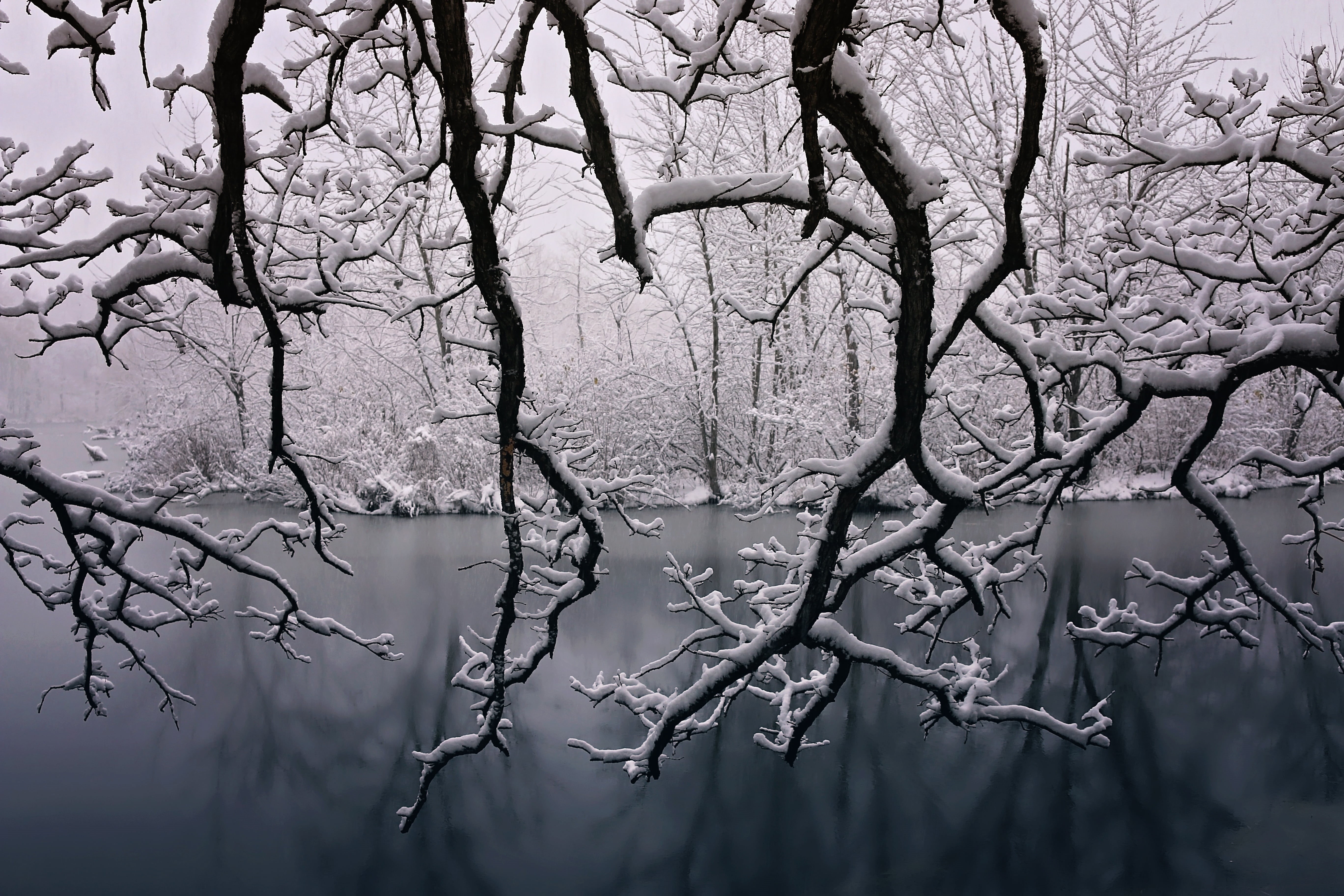 natural, water, beauty in nature, blue, day, bare tree, fog, scenic, seasons, reflection, holiday, ice, springtime, new, grayscale, snow, winter, covered, HD Wallpaper