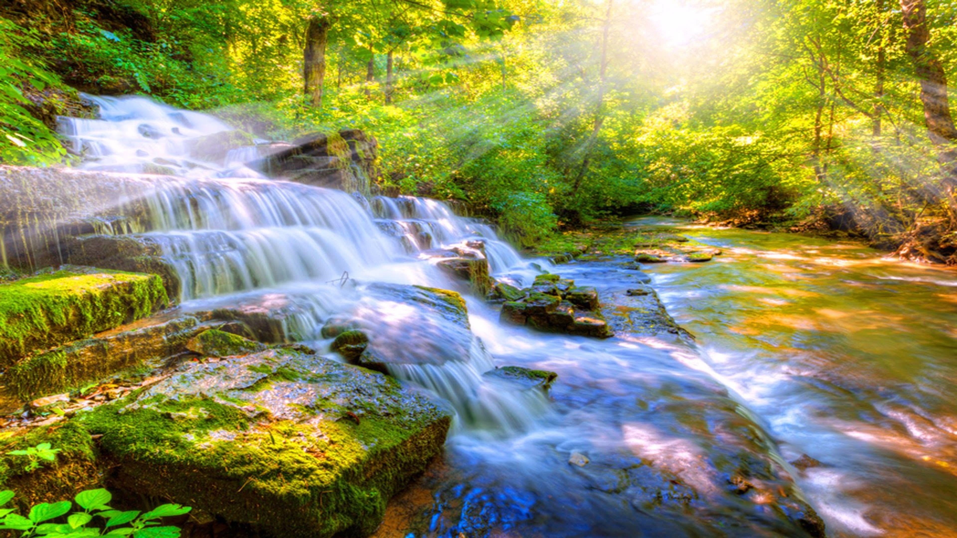 forest, power in nature, environment, mossy, no people, blurred motion, tree, scenics - nature, 4K, long exposure, solid, rainforest, nature, waterfall, HD Wallpaper