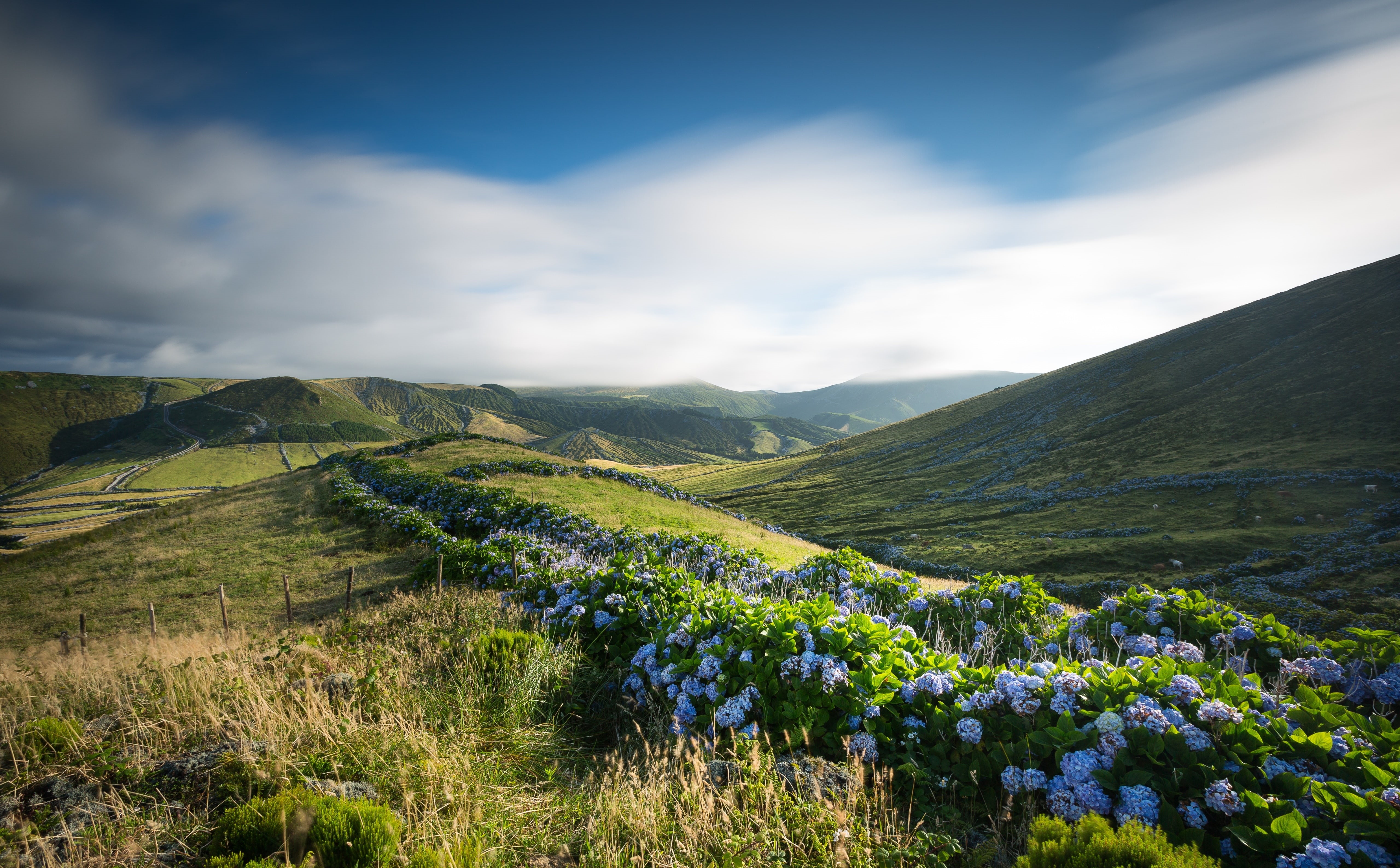 canon5d, growth, scenics - nature, canon, longexposure, mountain range, hortensia, rolling landscape, Scenery, Exposure, Blue, no people, Photography, Flowers, HD Wallpaper