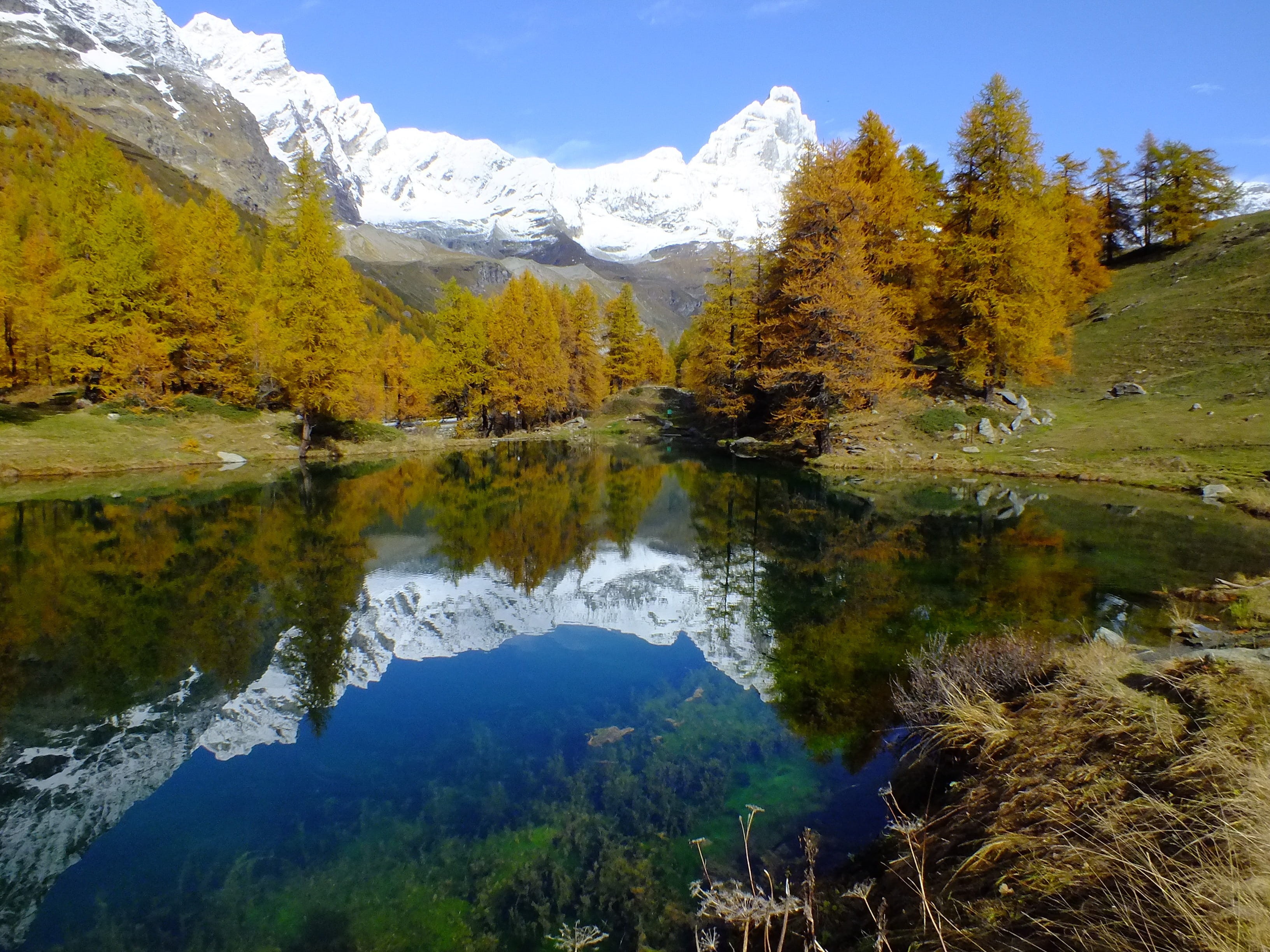 reflection, lake, aosta valley, tranquil scene, mountain peak, outdoors, idyllic, non-urban scene, yellow, colorful, mountain, monte cervino, reflect, autumn, HD Wallpaper