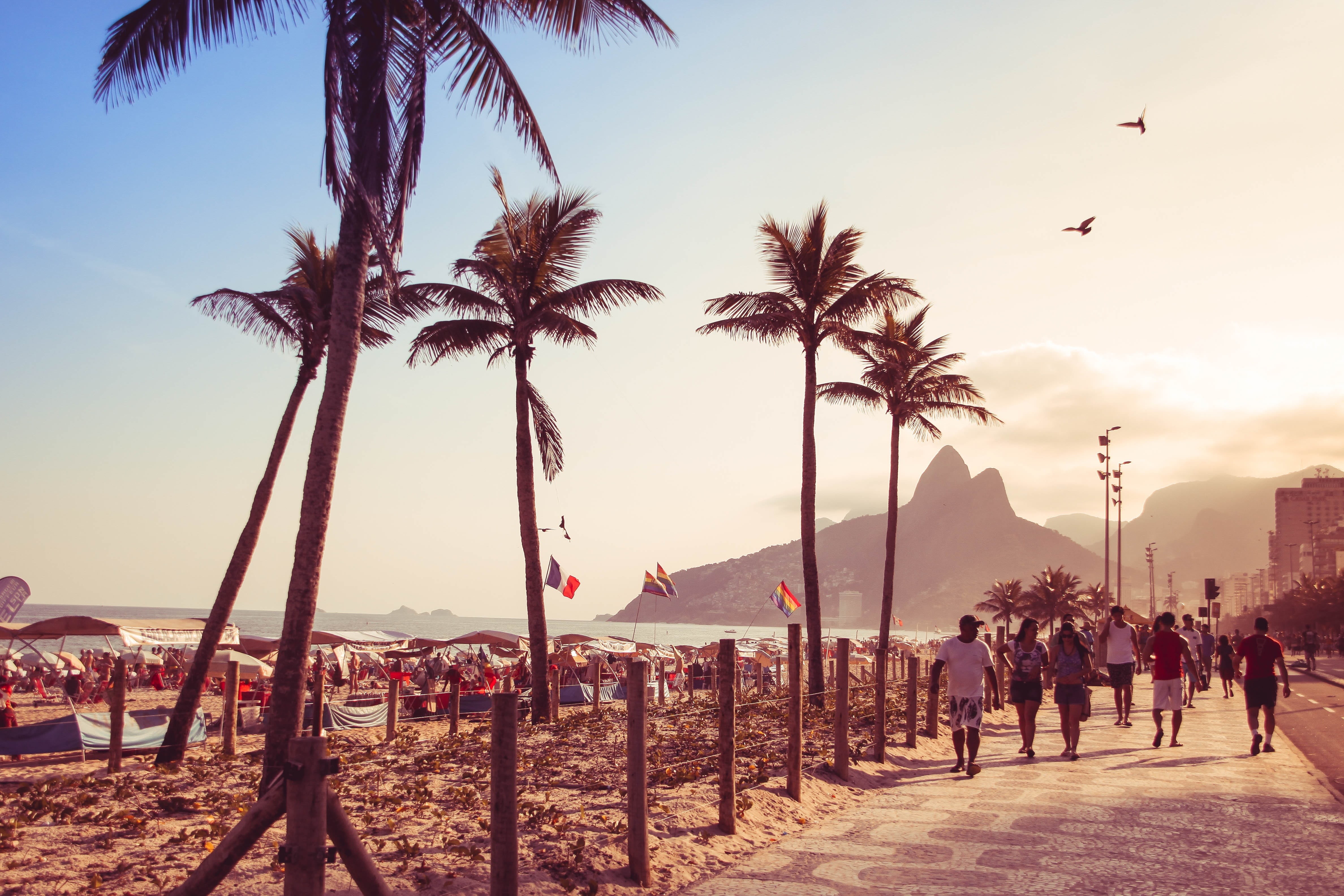 rio, sky, sea, real people, women, land, coconut, plant, crowd, rio de janeiro, nature, walking, outdoors, sol, lifestyles, sunset, people, group of people, HD Wallpaper