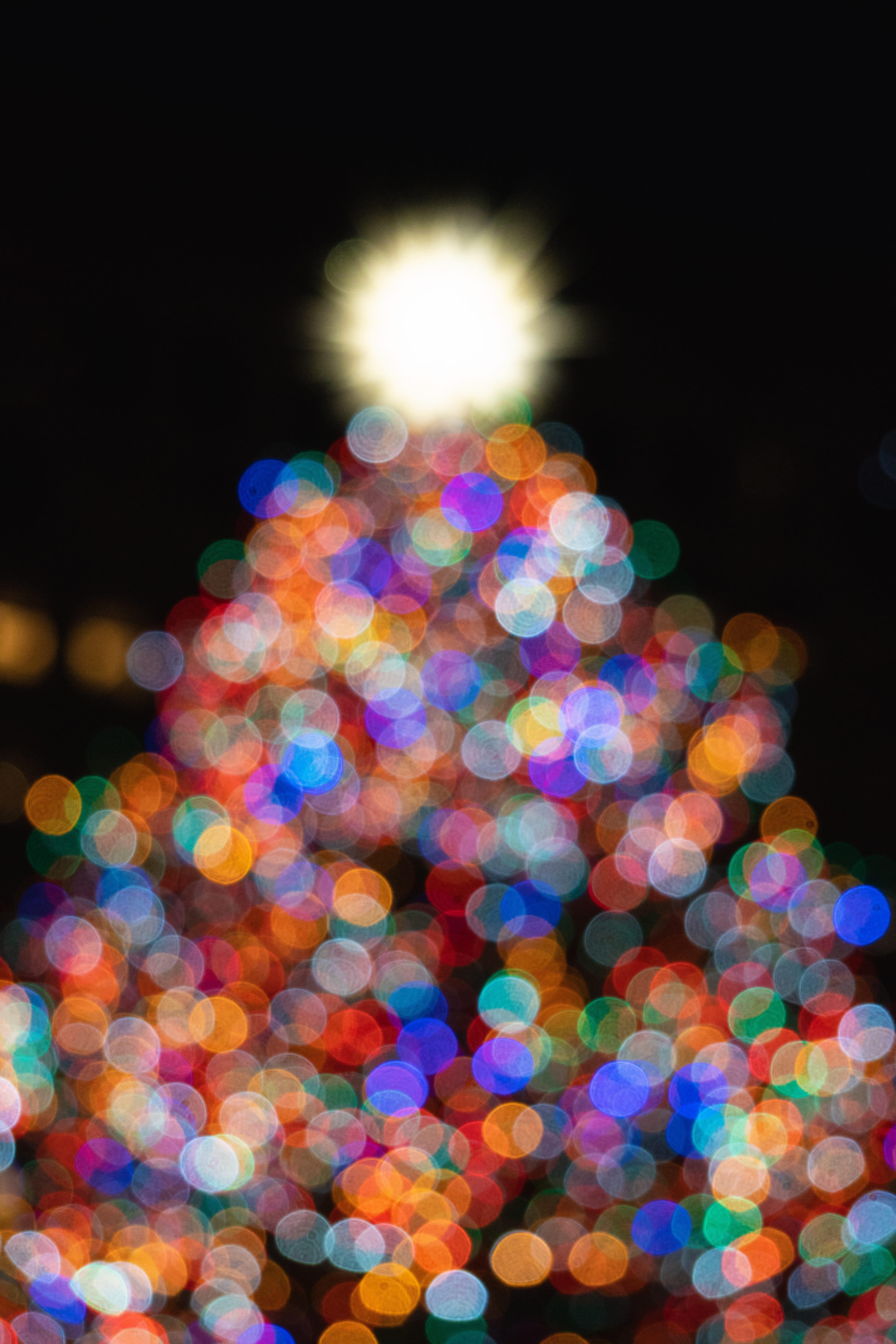 lighting, abstract, tree, lot, geometric shape, color, assorted, celebration, crowd, bokeh, circle, shape, fir, lens flare, christmas decoration, christmas lights, Phone HD Wallpaper