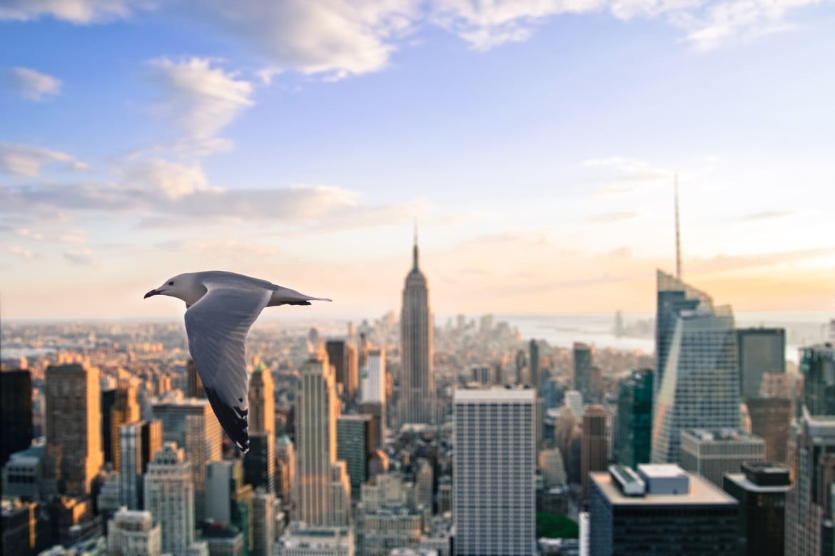 nature, animals in the wild, tall - high, outdoors, cloud - sky, animal themes, lights, york, spire, architecture, modern, financial district, futuristic, HD Wallpaper