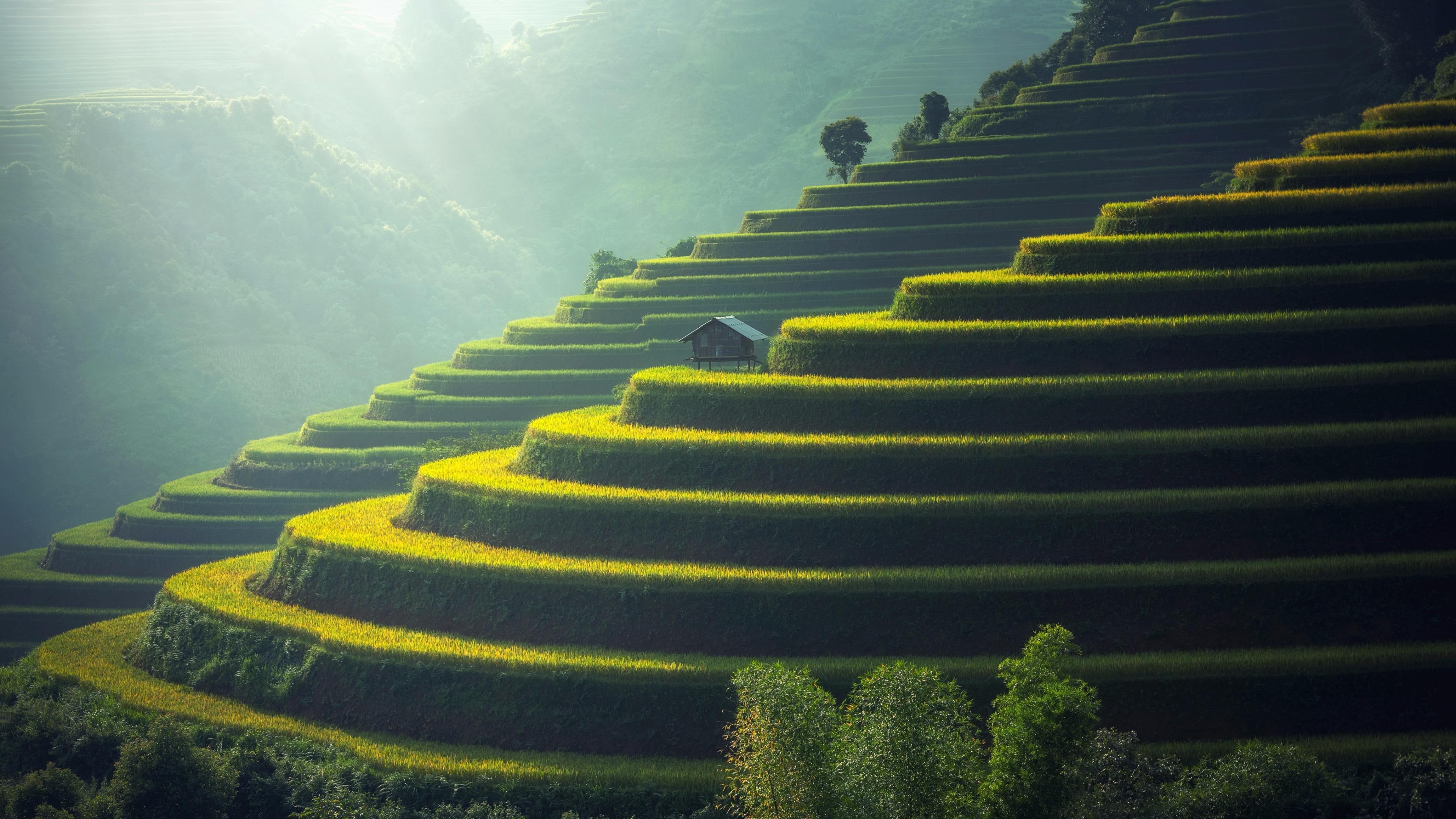 china, terraces, yuanyang, 4K, yunnan, culture, nature, fields, bungalow, hut, asia, ailao, HD Wallpaper