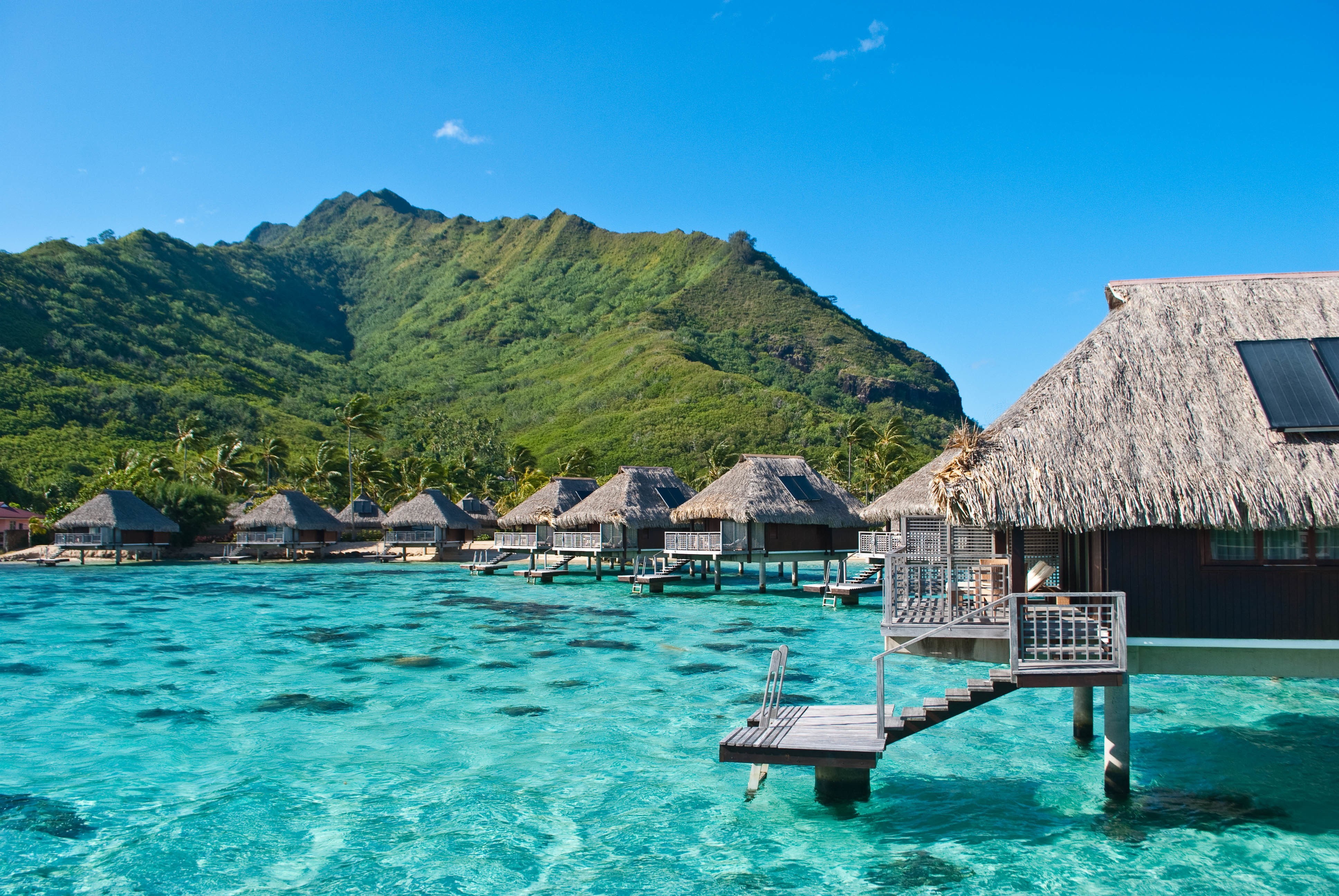 French Polynesia, Moorea, bungalow hotel, french, exotic, polynesia, 4K, Ocean, HD Wallpaper