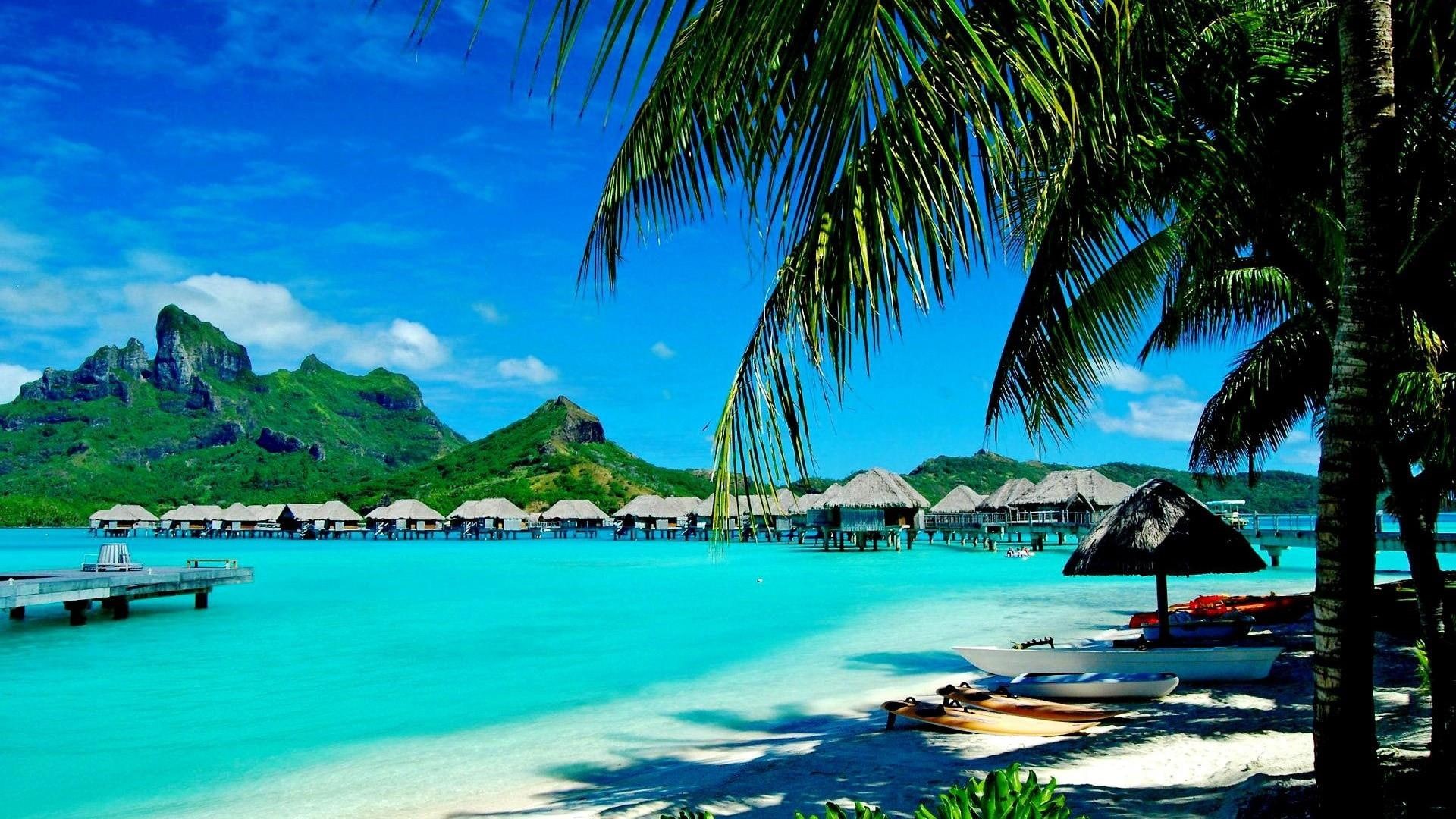 holiday, palm tree, 1080P, bungalows, seashore, beach, summer, exotic, HD Wallpaper