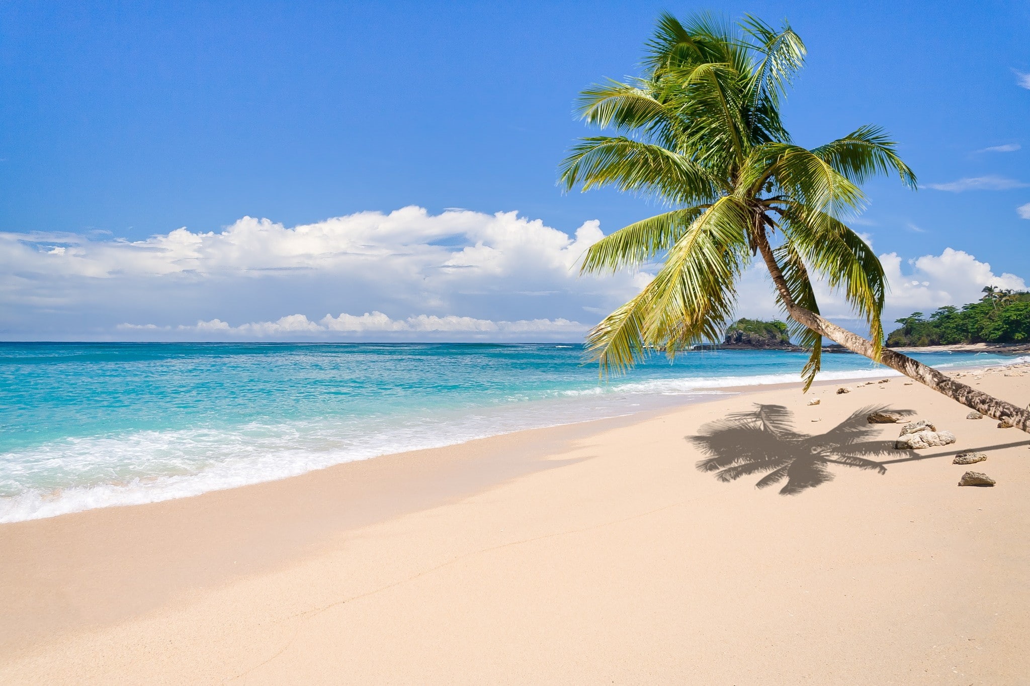 tropical tree, turquoise colored, Madagascar, 1080P, cloud - sky, no people, beach, horizon, tropical, idyllic, landscape, tropical climate, sand, tranquility, HD Wallpaper