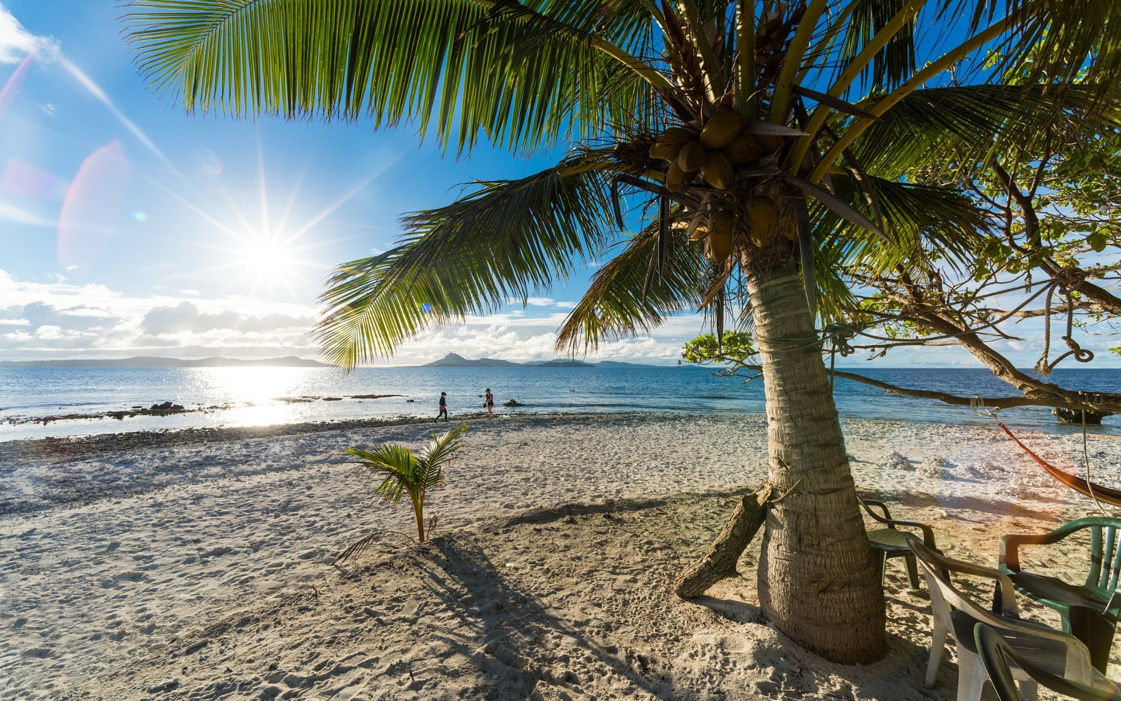 palm, landscape, summer, beach, island, sea, 1080P, sunlight, tropical, palm trees, sand, trees, nature, HD Wallpaper