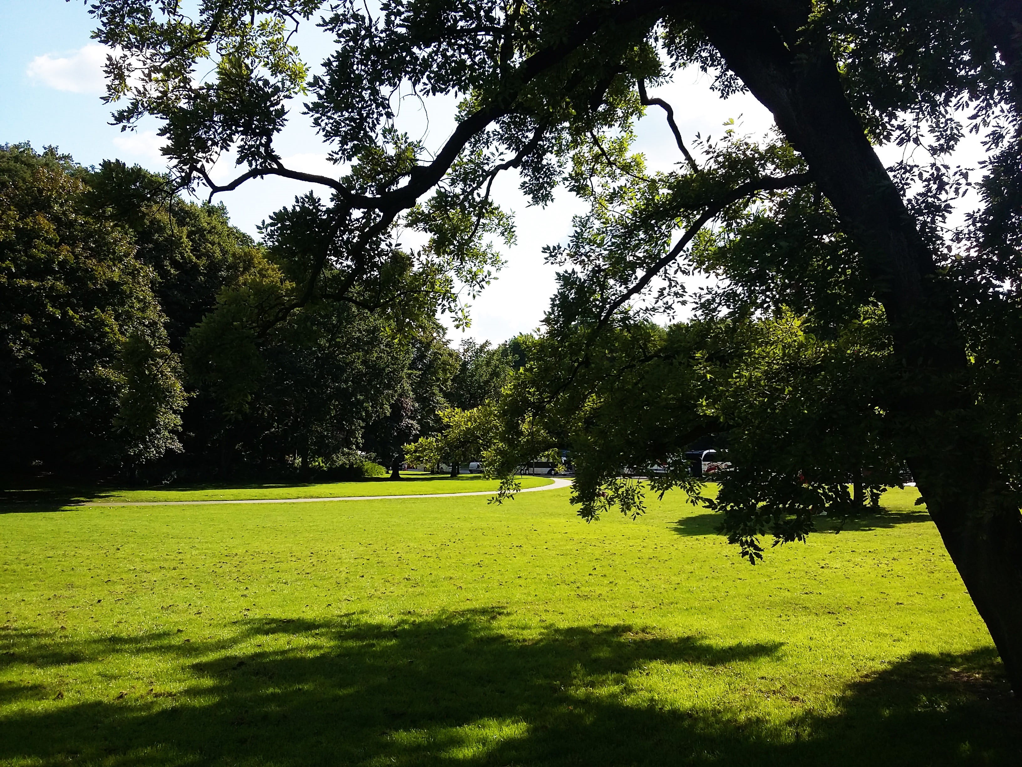 leisure activity, city, trip, tour, parks, plant, plants, trees, outdoors, landscape, park, grass, prato, tourist, tree, green color, day light, scenics - nature, HD Wallpaper