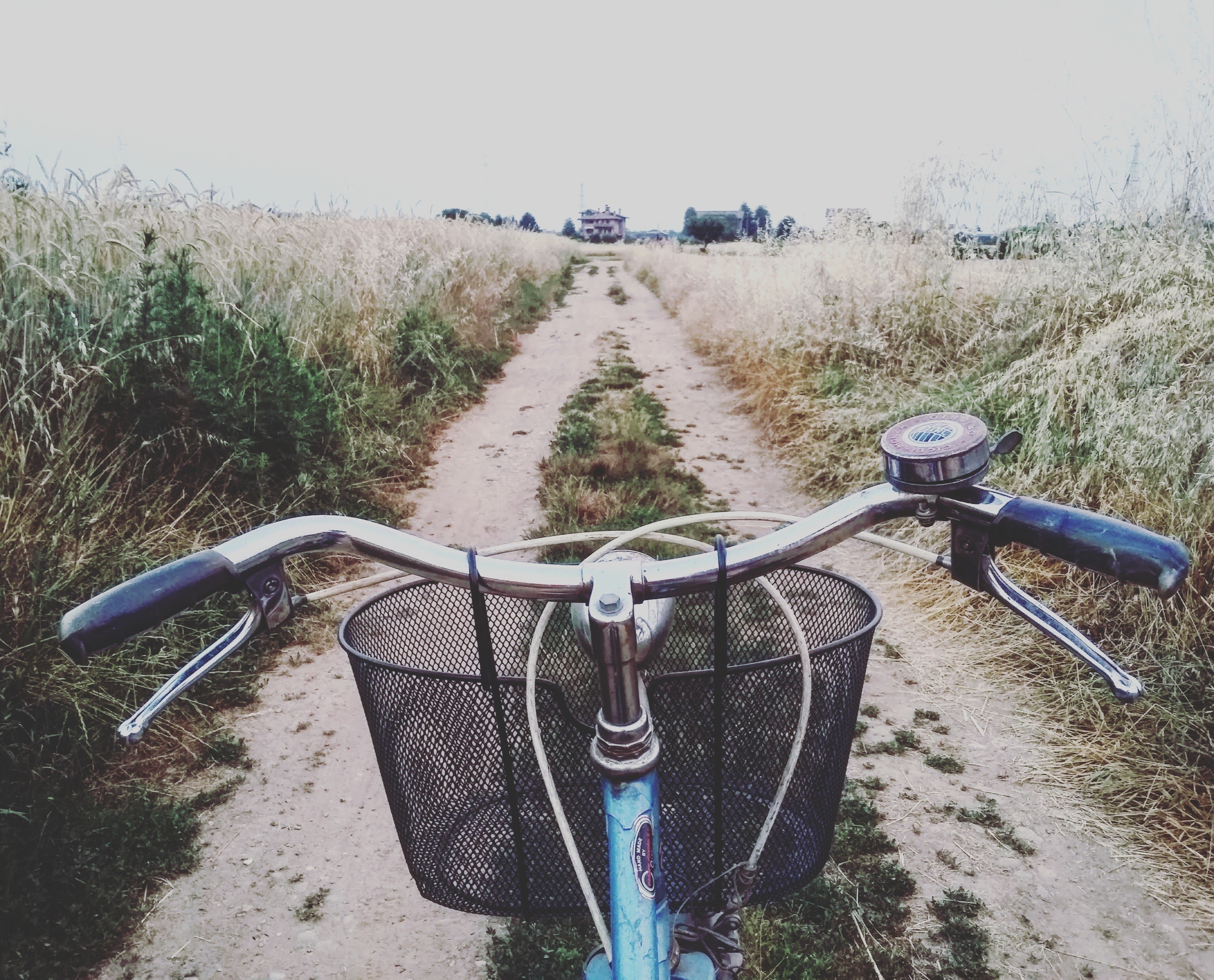 grass, wheat, green, transportation, campaign, no people, day, outdoors, vintage, adventure, 2K, field, the way forward, blue, leisure, land, handlebars, HD Wallpaper