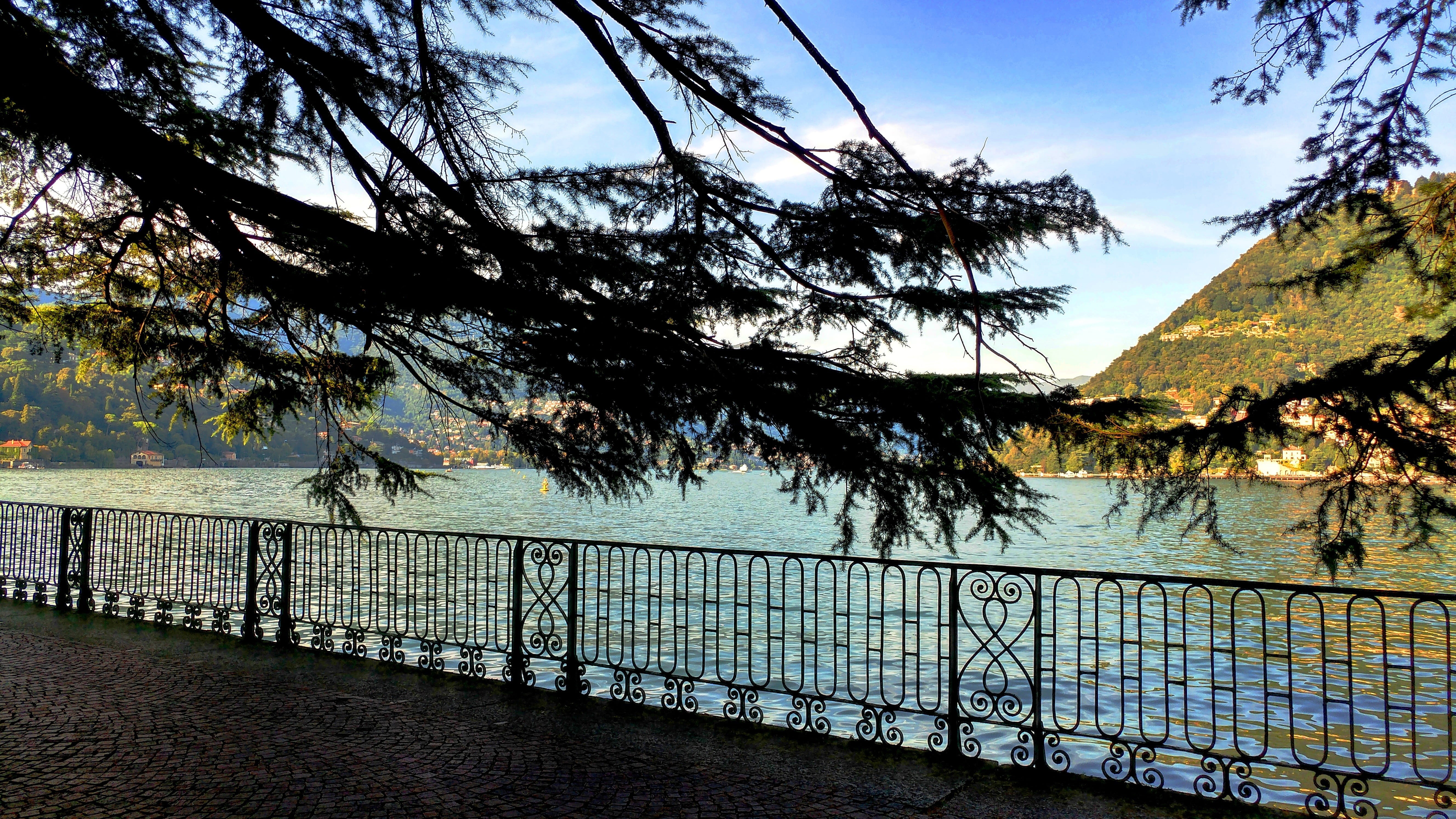 tree, no people, lake como, barrier, tranquil scene, como, sea, boundary, trip, passage, panoramic, scenics - nature, fence, beauty in nature, tranquility, HD Wallpaper