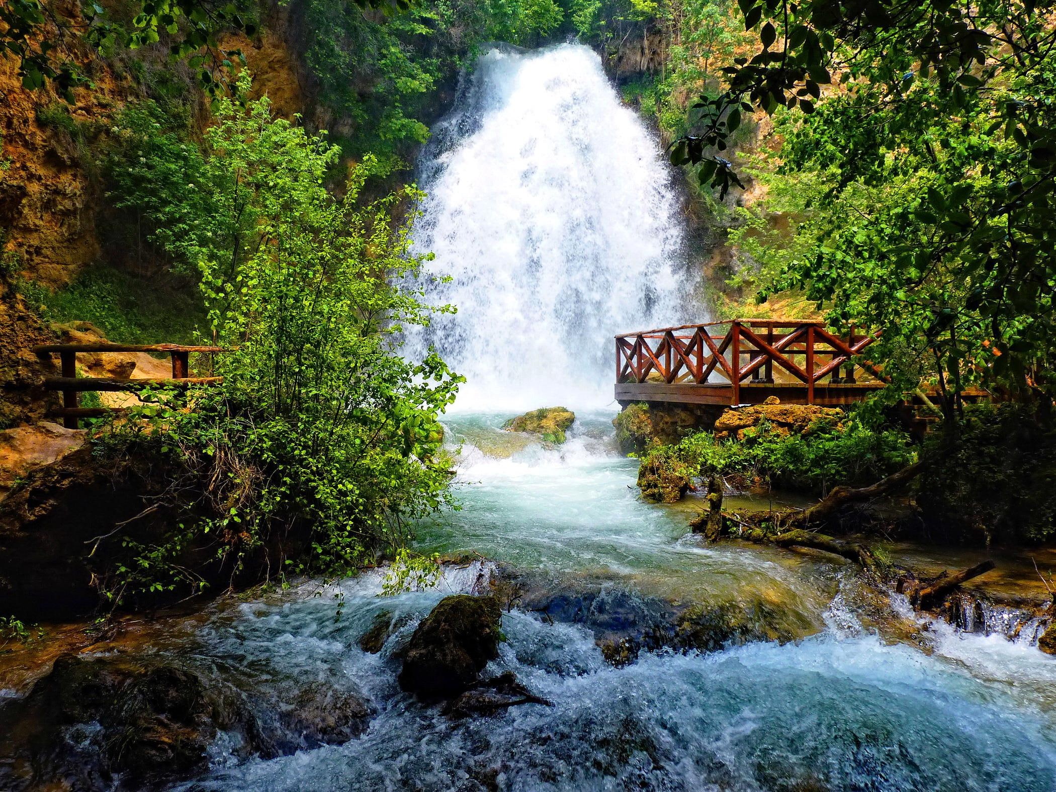 trees, nature, stream, water, forest, plants, green, fall, waterfall, lovely, beautiful, peaceful, 1080P, HD Wallpaper