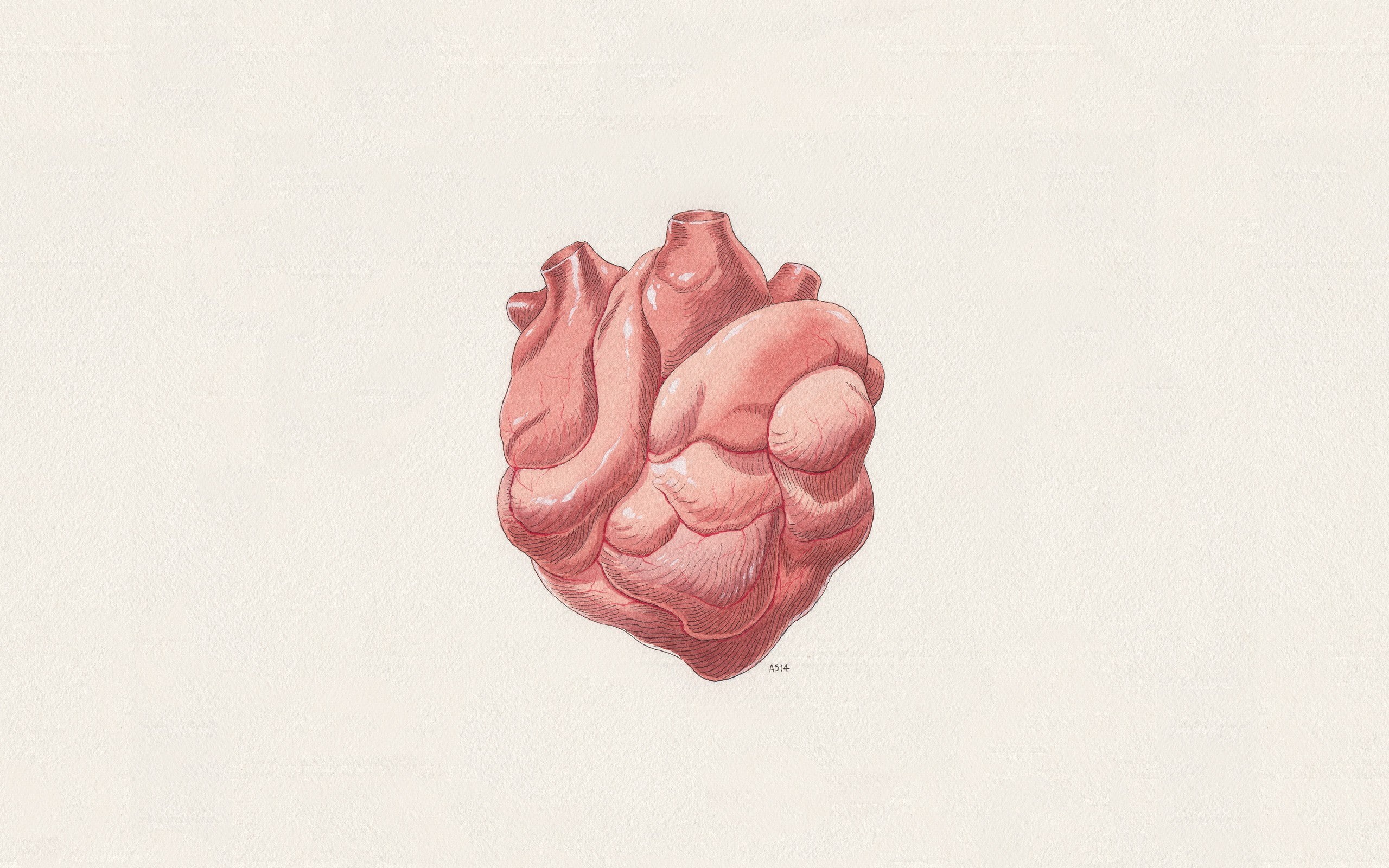 medicine, 2560x1600, minimalism, art, digital art, digital, 2K, HD Wallpaper