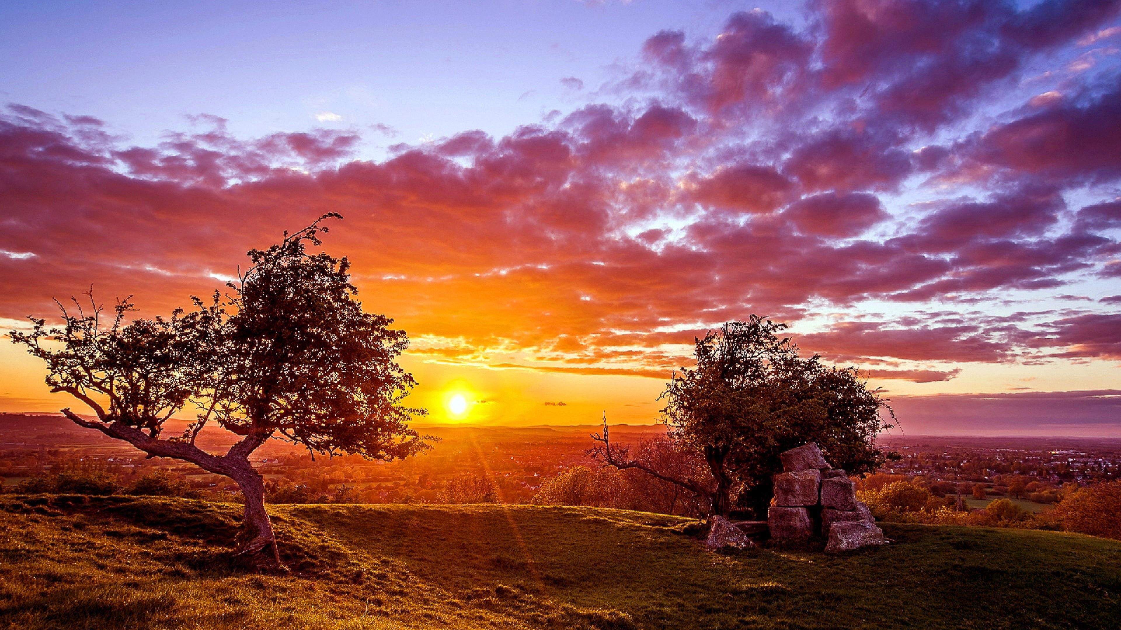 woody plant, tree, cloud, red sunset, rural area, evening, 4K, nature, countryside, field, orange sunset, sunlight, sky, atmosphere, sunset, HD Wallpaper