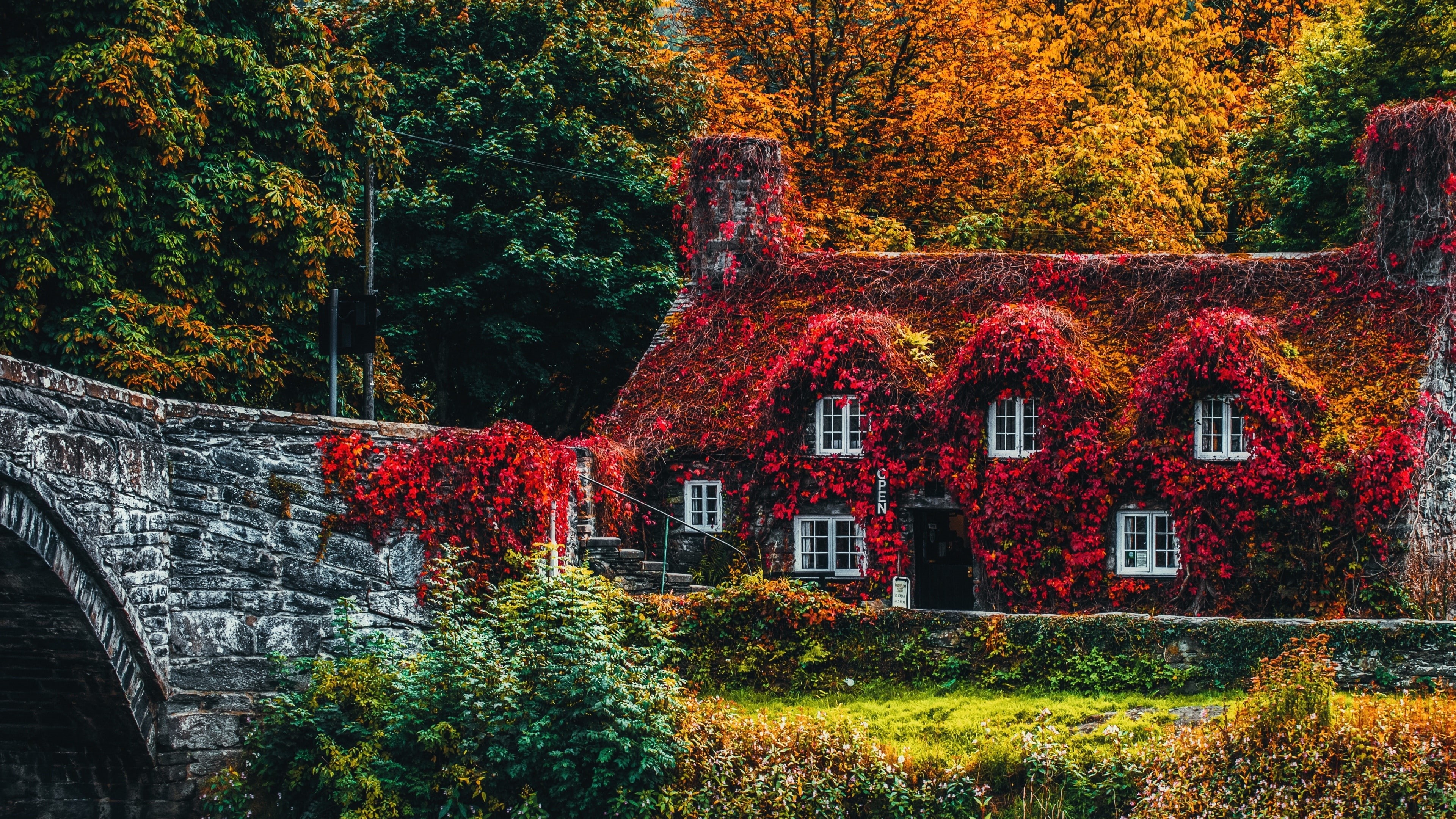 wales, plant, landscape, nature, house, europe, river conwy, conwy county borough, tree, snowdonia, 4K, shrub, leaf, united kingdom, woody plant, autumn, HD Wallpaper