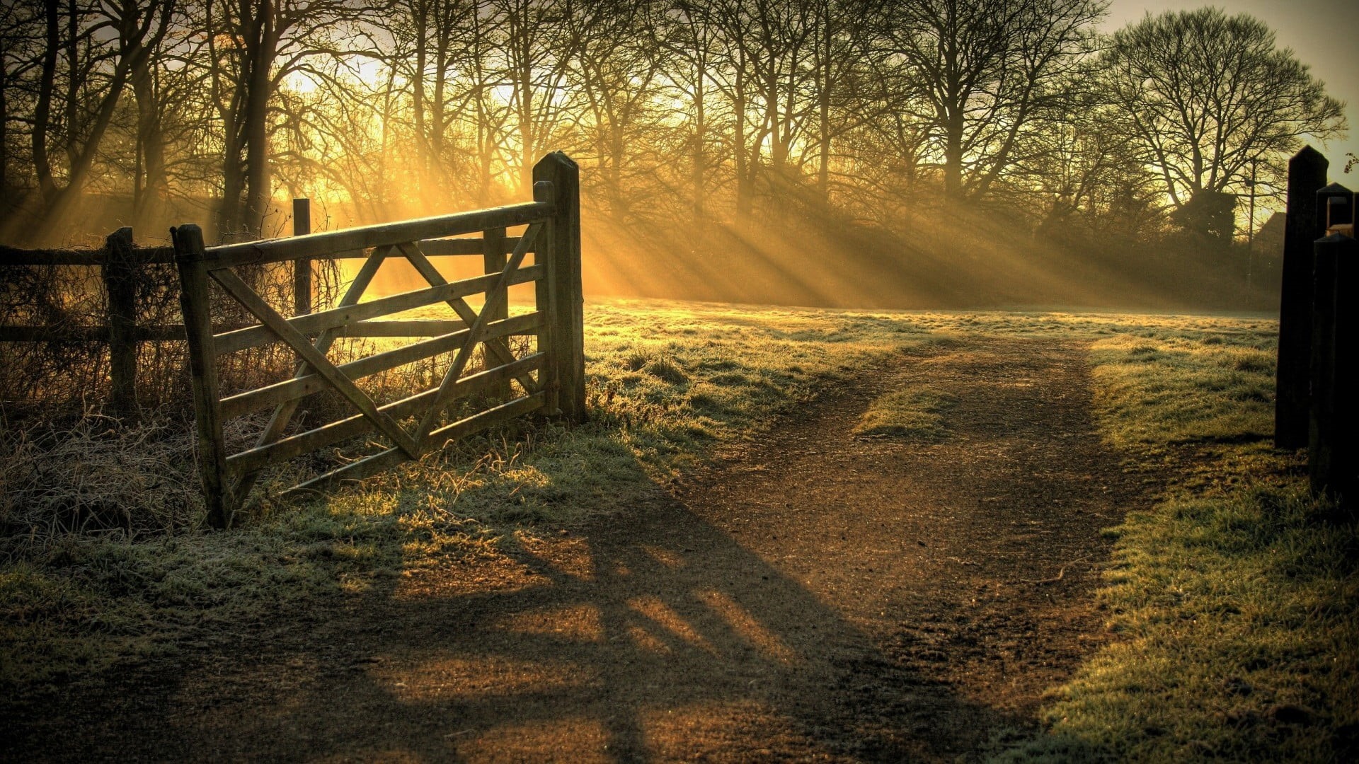 sky, tranquil scene, path, land, light, field, landscape, plant, outdoors, woodland, gate, woody plant, nature, fence, sunlight, non-urban scene, pinfold, HD Wallpaper