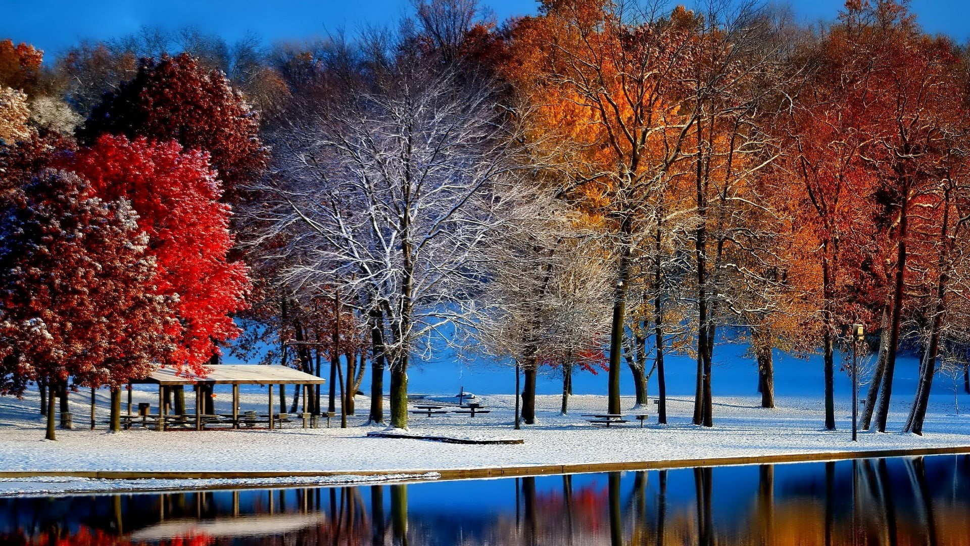 reflection, beauty in nature, winter, frost, autumn, plant, morning, branch, leaf, day, lake, nature, tranquility, water, tranquil scene, waterfront, snow, HD Wallpaper