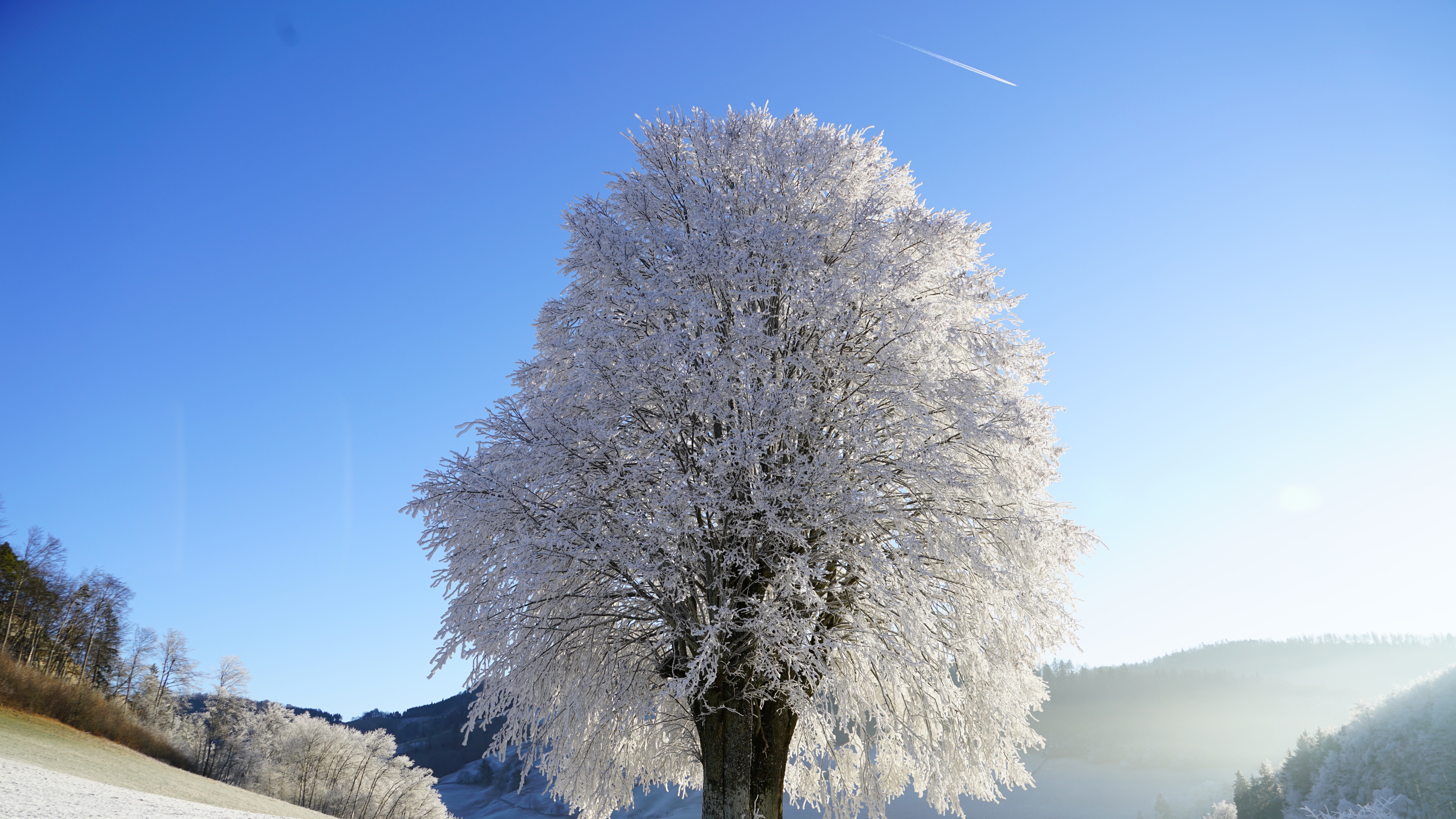 8K, 8k uhd, cloud, branch, 8k, tree, winter, ice, sunlight, landscape, mountain, freezing, frost, sky, hoarfrost, lone tree, snow, lonely tree, woody plant, HD Wallpaper