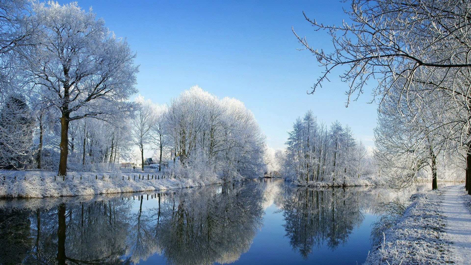reflection, netherlands, woody plant, bank, waterway, winter, branch, tree, 1080P, europe, canal, utrecht, daytime, nature, hoarfrost, freezing, frost, HD Wallpaper