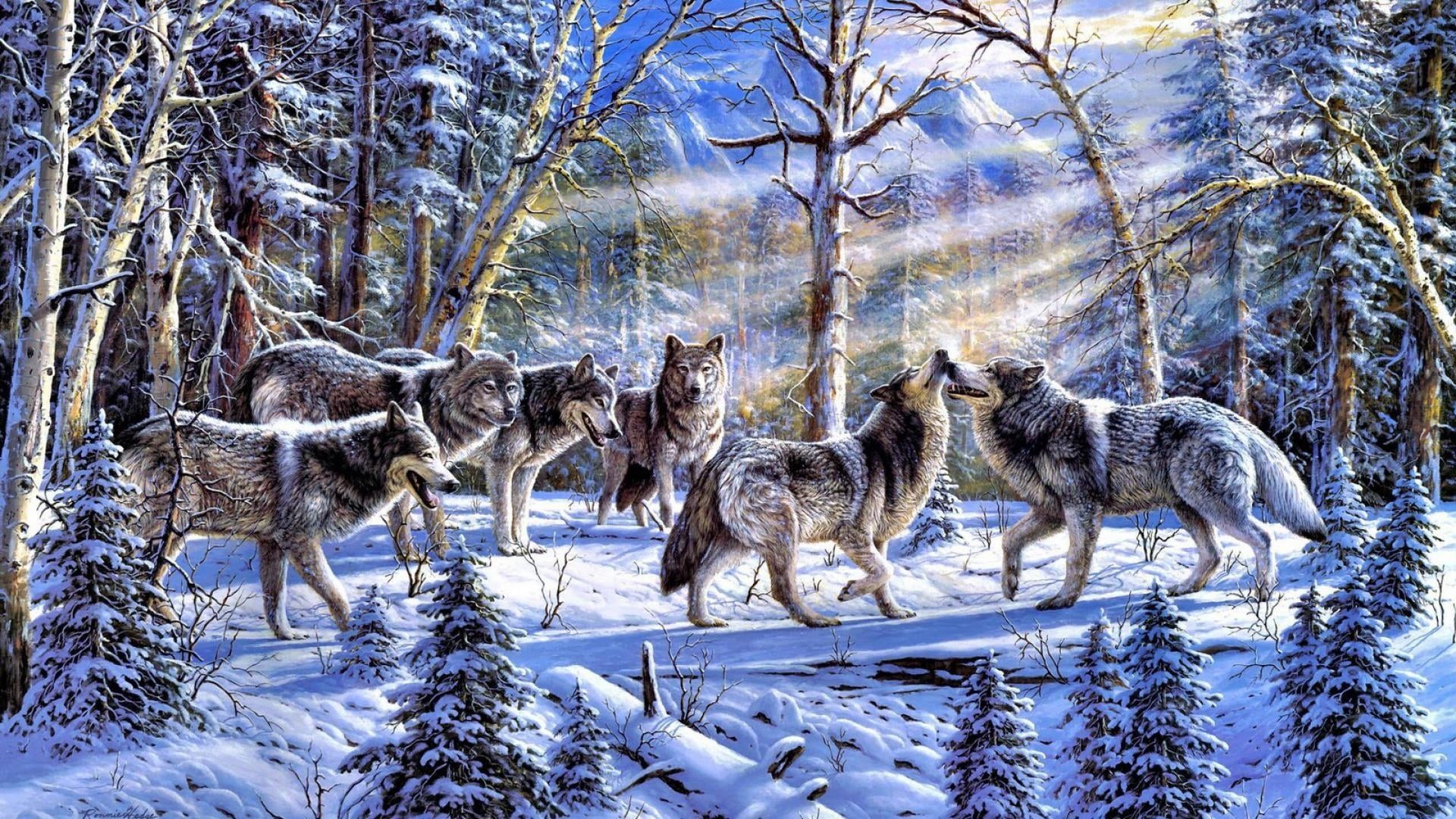 beauty in nature, winter, day, animal wildlife, wildlife, vertebrate, herbivorous, field, animal themes, snow, group of animals, cold temperature, woody plant, HD Wallpaper
