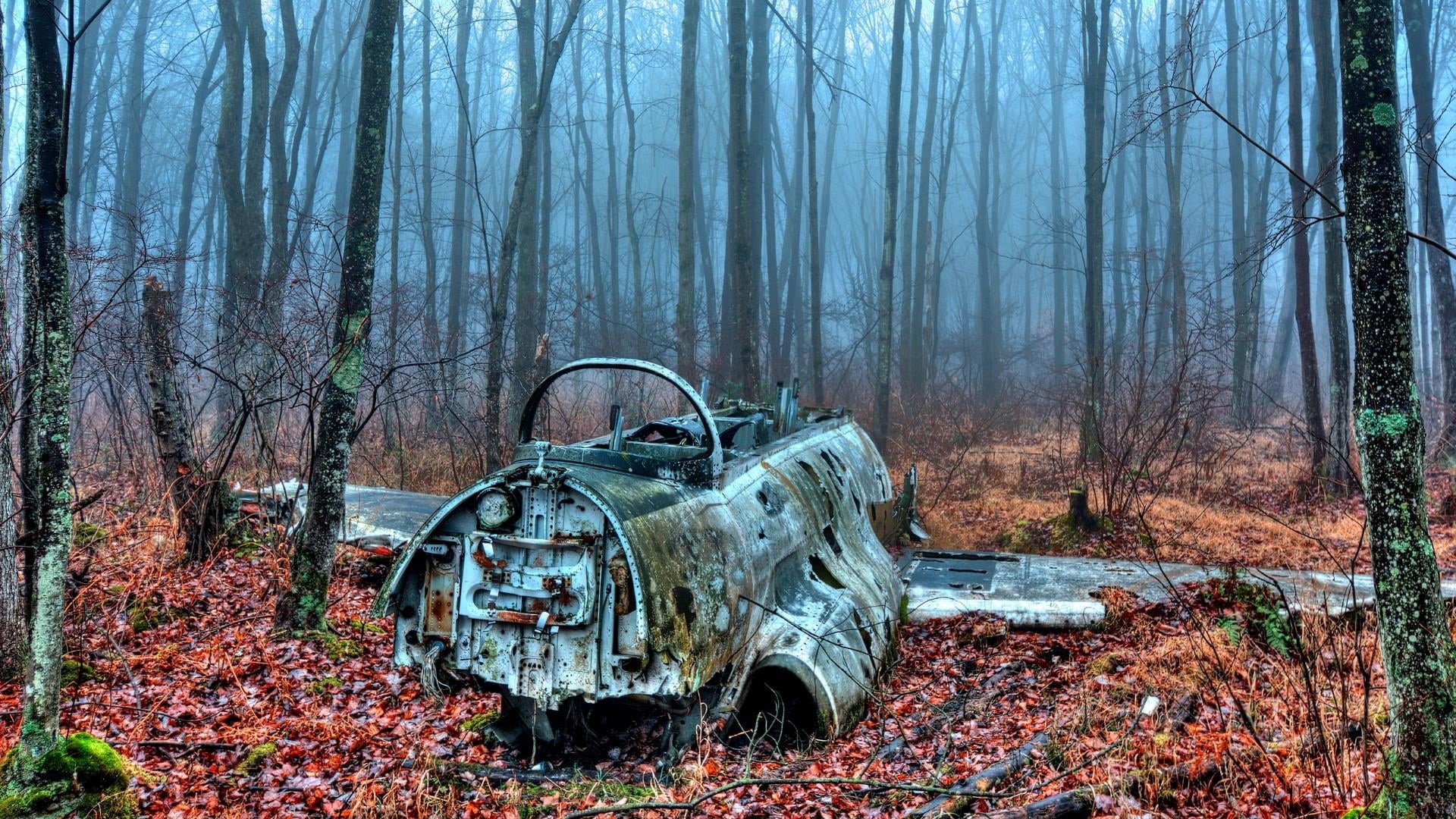 foggy, land vehicle, woodland, fog, land, forest, day, non-urban scene, mode of transportation, nature, jet, 1080P, decline, damaged, outdoors, tree, obsolete, HD Wallpaper