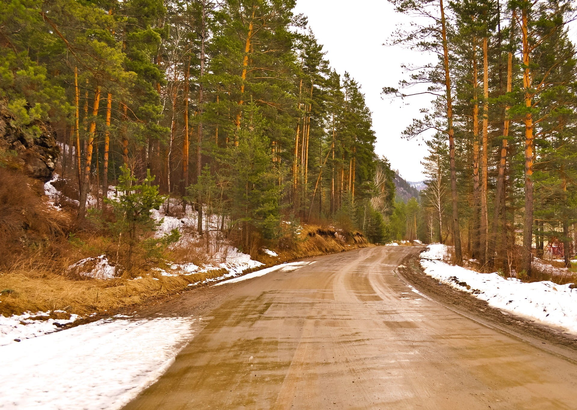 day, crystals, weather, the way forward, plant, Roads, zes, cold, Forest, Woods, woody, season, frosting, leaves, snowy, cold temperature, transportation, HD Wallpaper