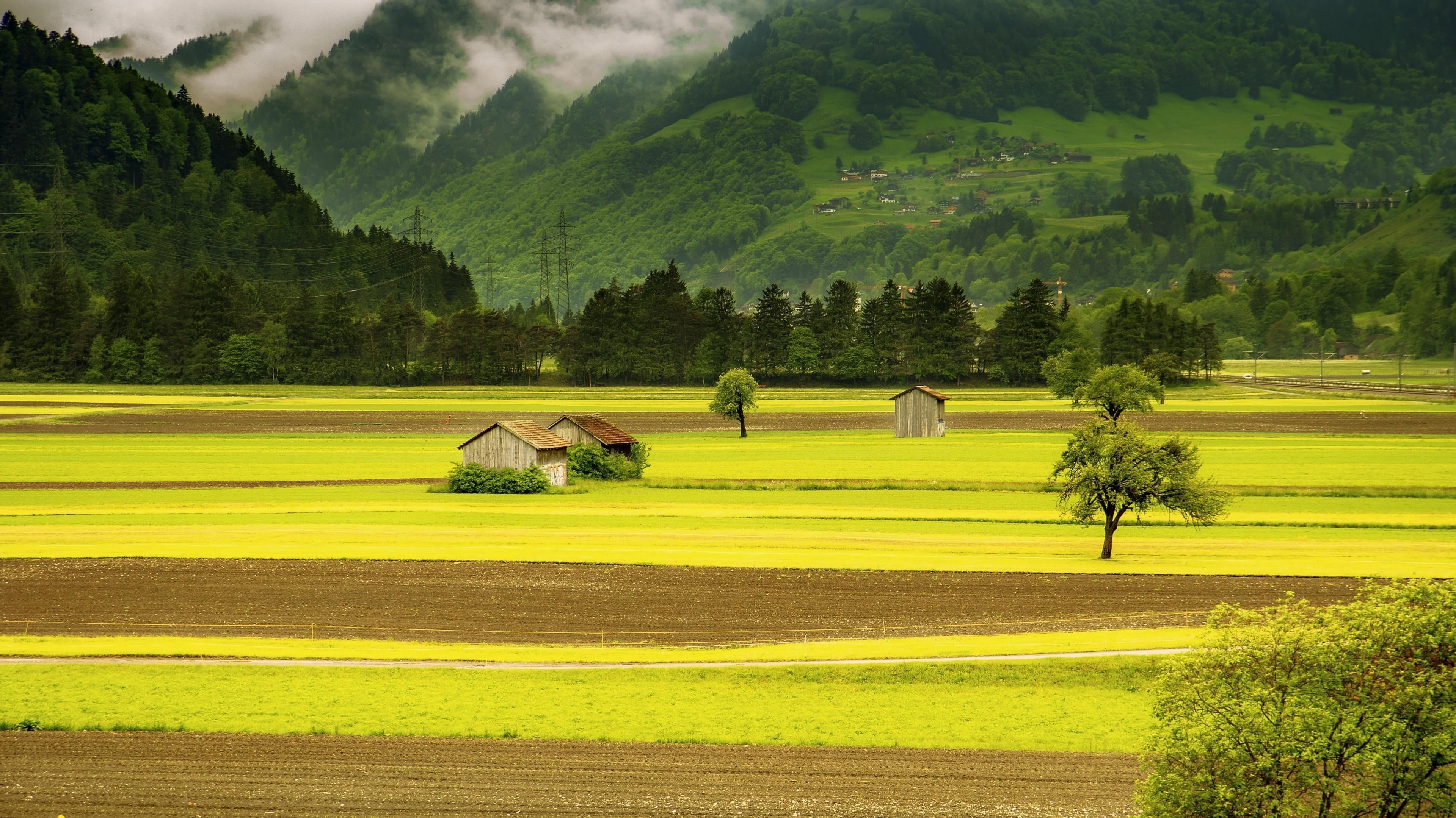 swiss, growth, no people, landscape, mountain, activity, beauty in nature, land, green color, leisure activity, non-urban scene, switzerland, tranquility, HD Wallpaper