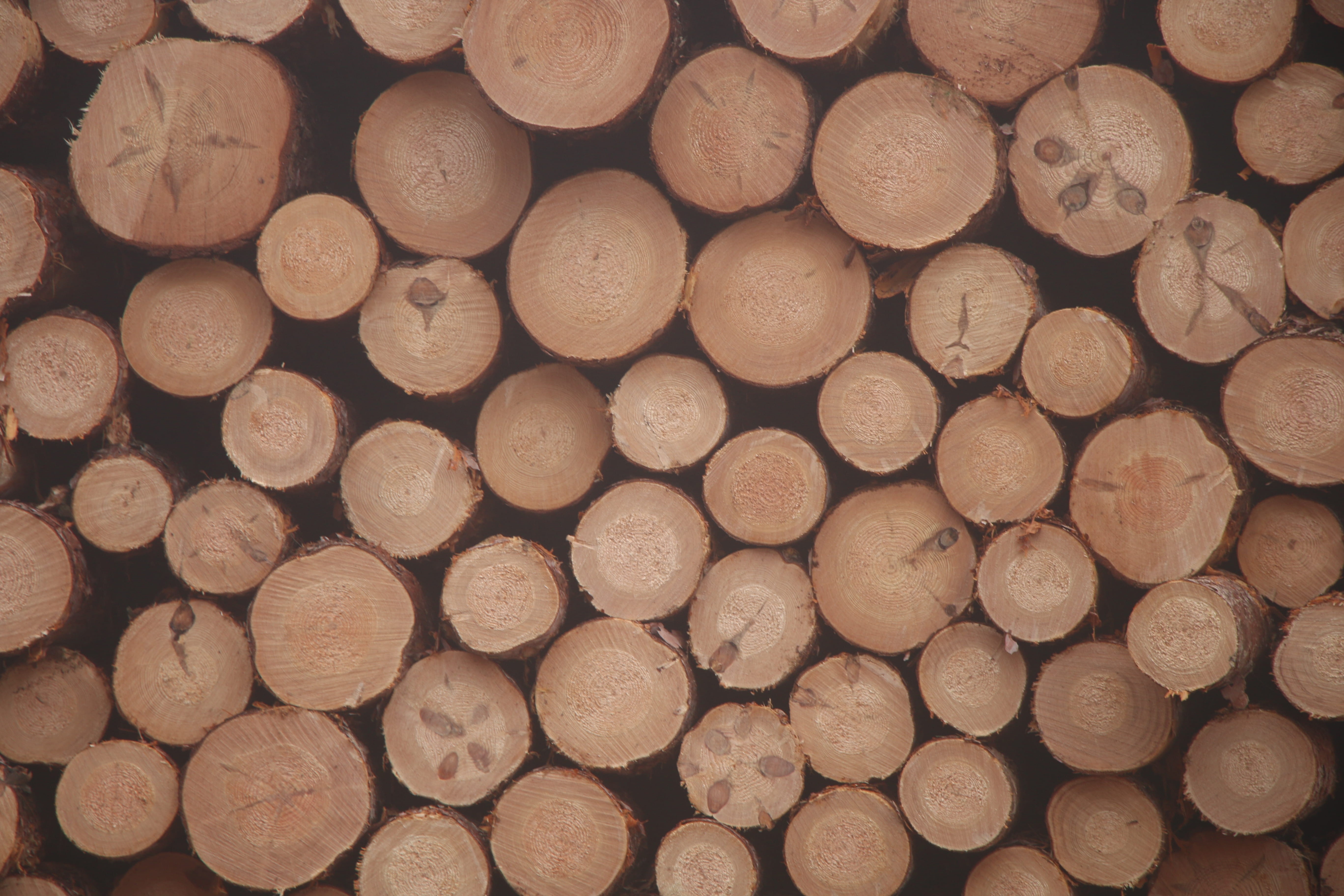 5K, pattern, wood, no people, outdoors, full frame, fuel and power generation, lumber, woodpile, woods, united states, abundance, forest, cannon township, HD Wallpaper