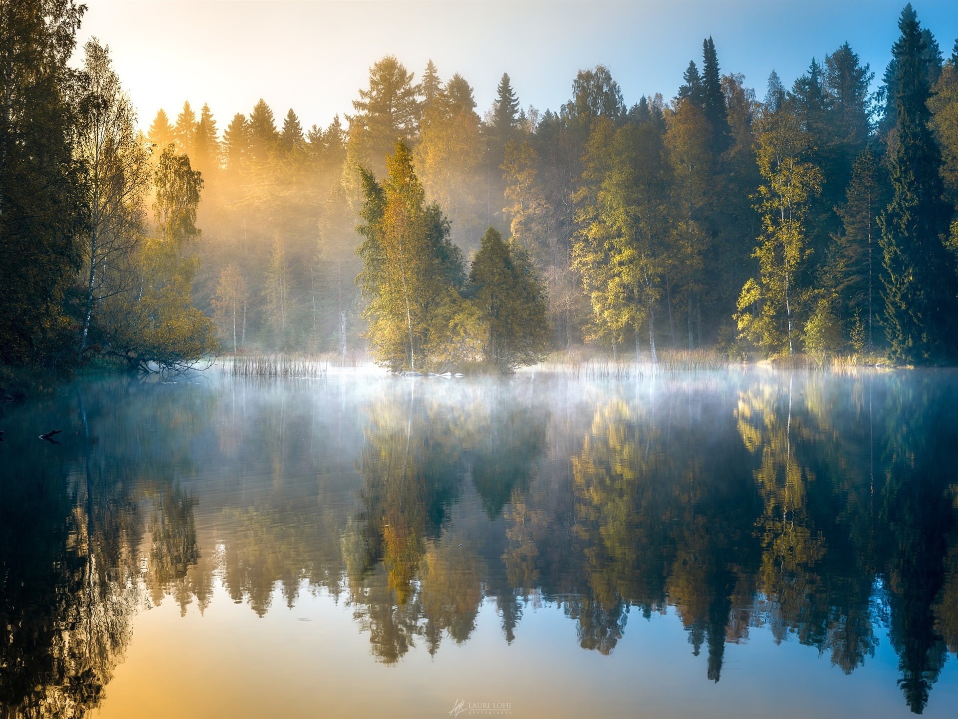 Forest, Finland, Autumn, 1080P, Lake, Morning, Fog, Trees, HD Wallpaper
