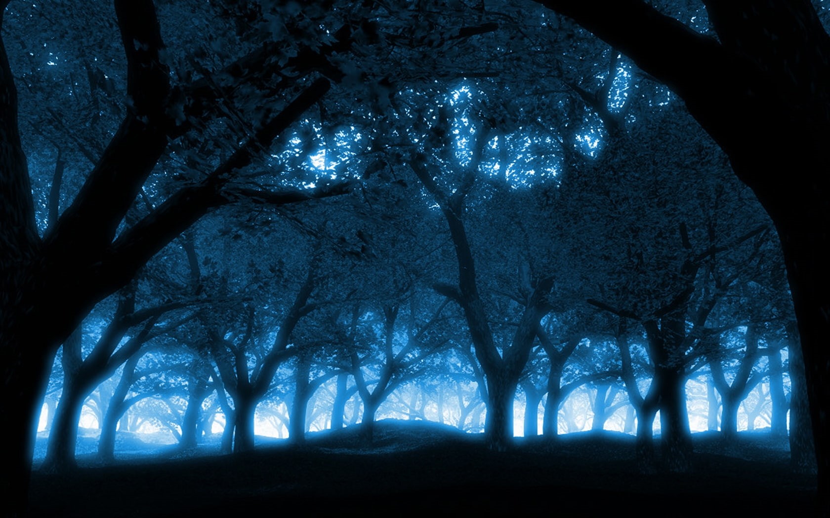 nature, forests, art, Blue, dark, forest, 720P, Black, sky, hd, HD Wallpaper