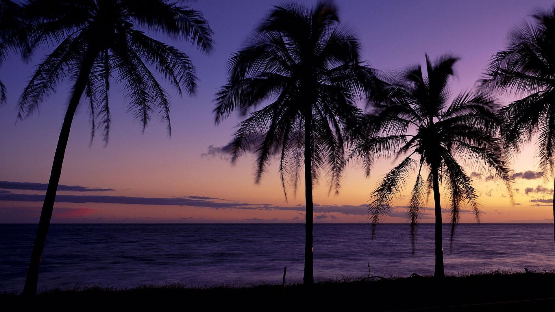 panorama, theme, beach, 1080P, microsoft, HD Wallpaper