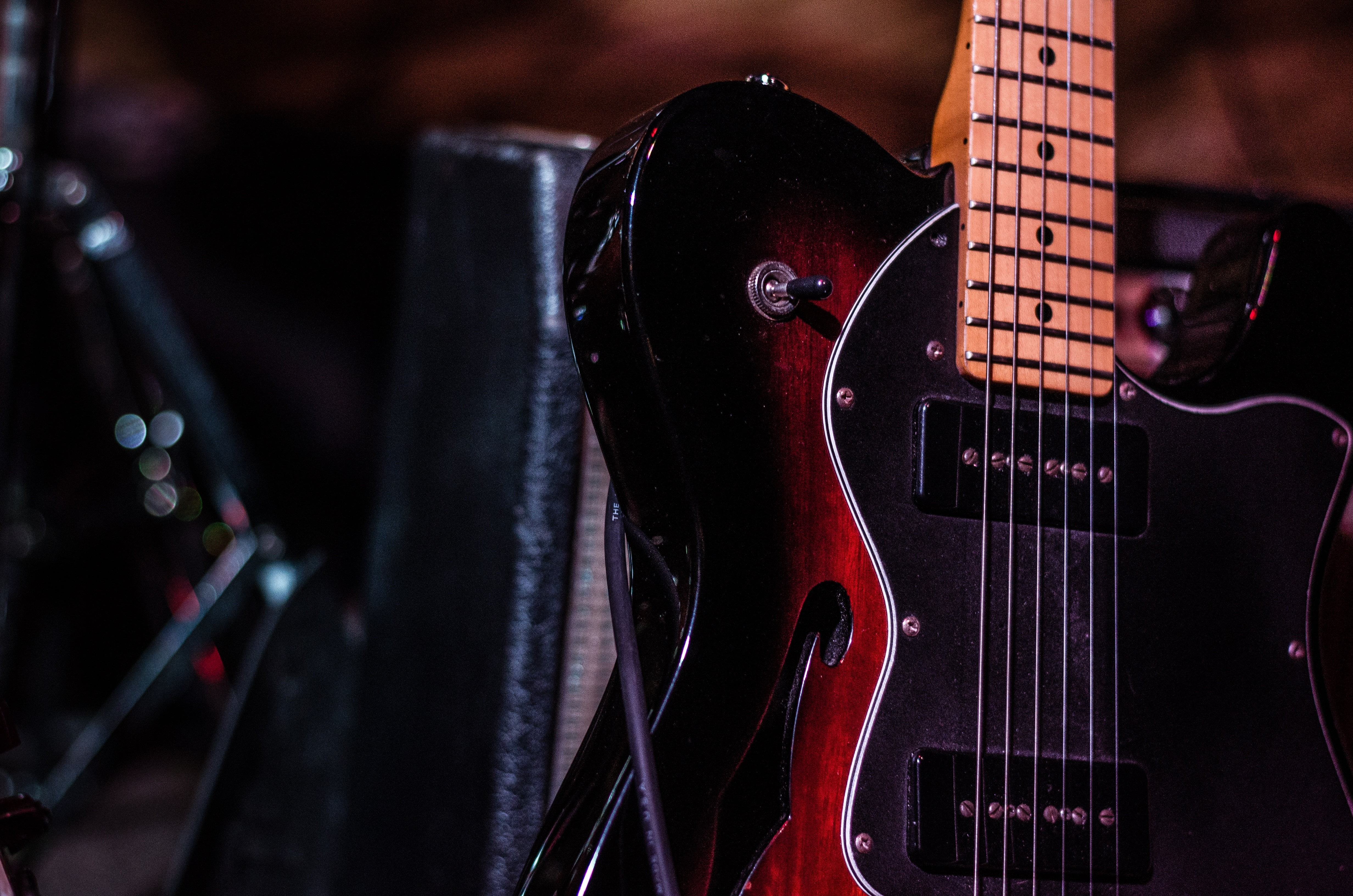 bass guitar, arts culture and entertainment, blues Music, musical equipment, electric Guitar, string, sound, musician, pickup, macro, stage, bass instrument, HD Wallpaper