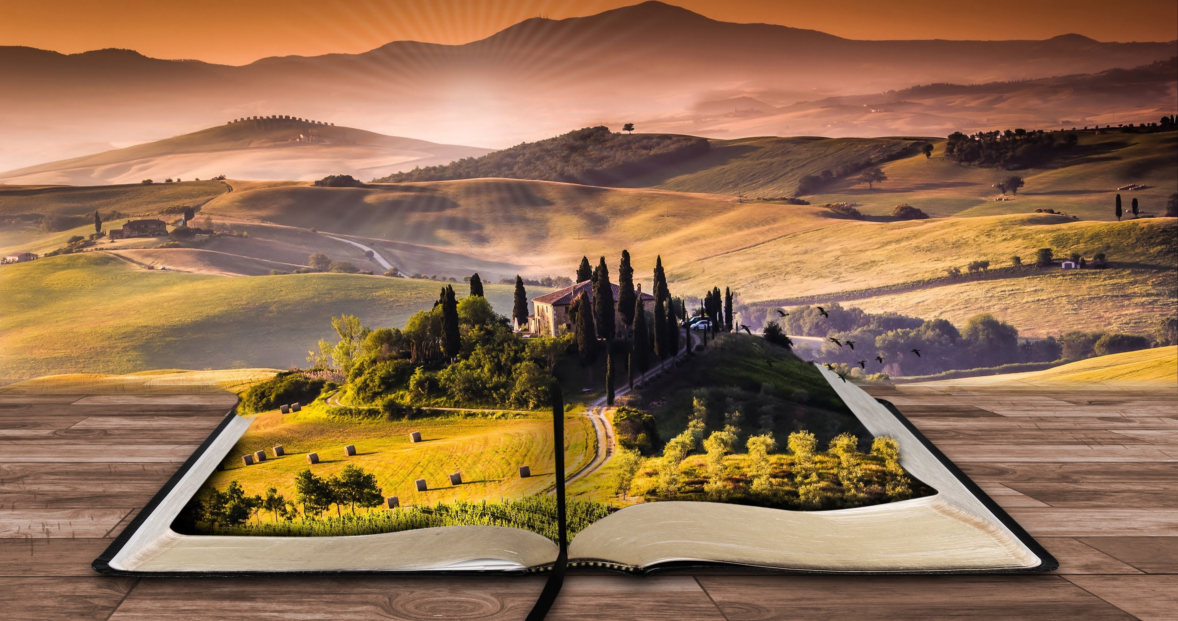 fields, open, Book, d, Landscape, trees, Scenery, grass, 4K, tall, 4K, HD Wallpaper