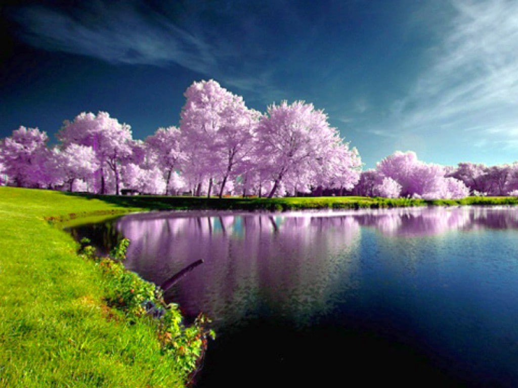 Cool, hd, art, lakes, nature, photography, 480P, lake, HD Wallpaper