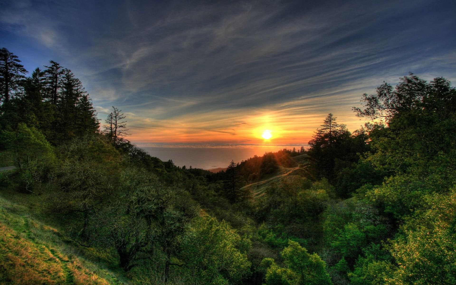 cool, sunrise - sunset, nature, trees, landscapes, 1080P, leaf, clouds, green, HD Wallpaper