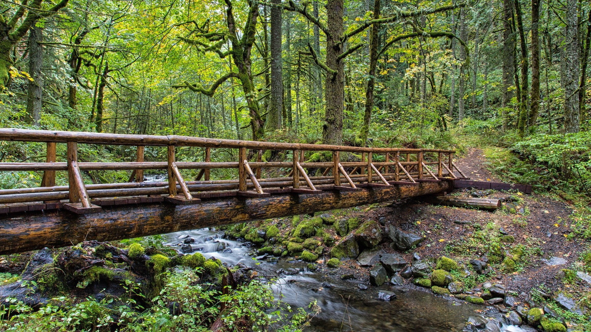 1080P, nature desktop  full size 1920x1080, HD Wallpaper
