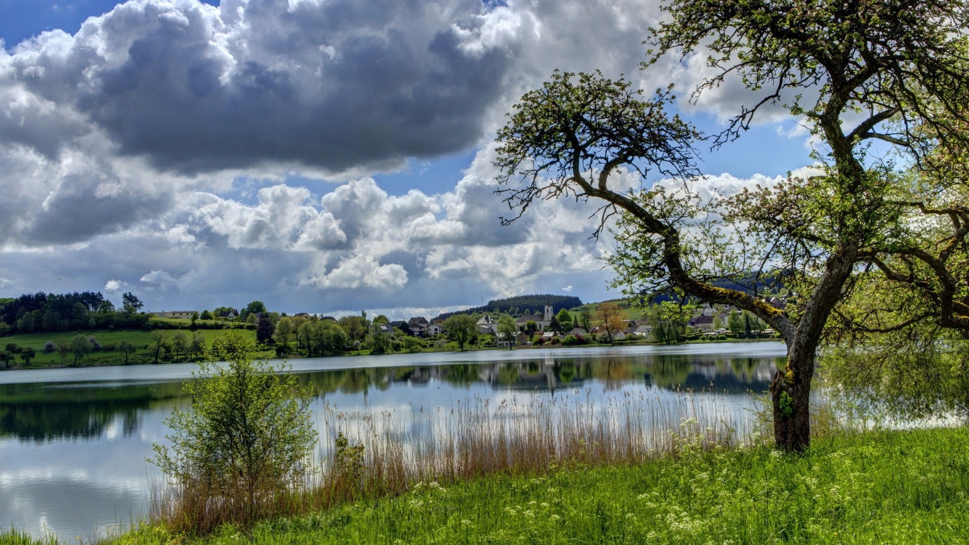 1080P, nature full hd image 1920x1080, HD Wallpaper