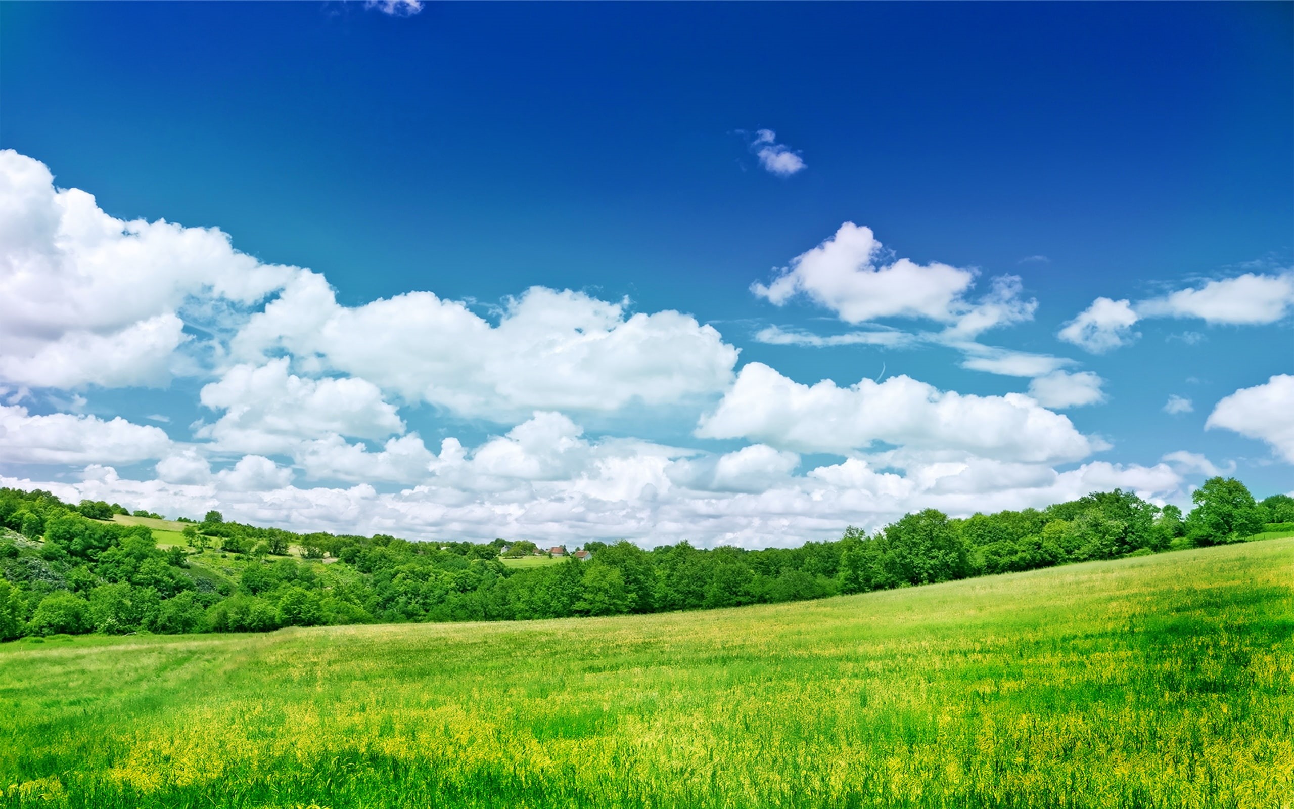 nature, landscape, field, greenery, 2K, clouds, sky, HD Wallpaper