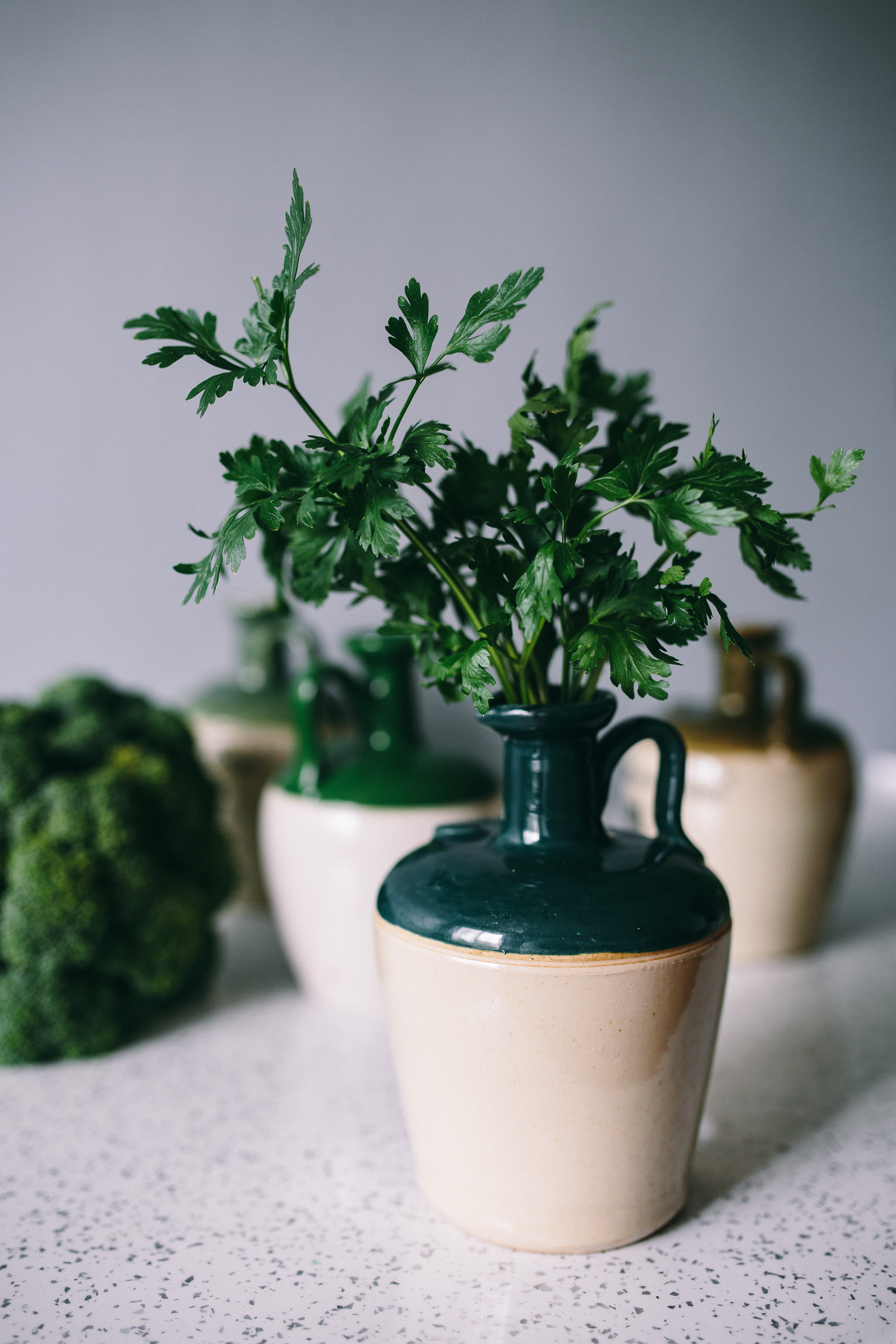 table, container, close-up, vegetables, parslel, nature, cucumbers, tree, no People, white color, green Color, wood - Material, day, selective focus, leaf, Phone HD Wallpaper