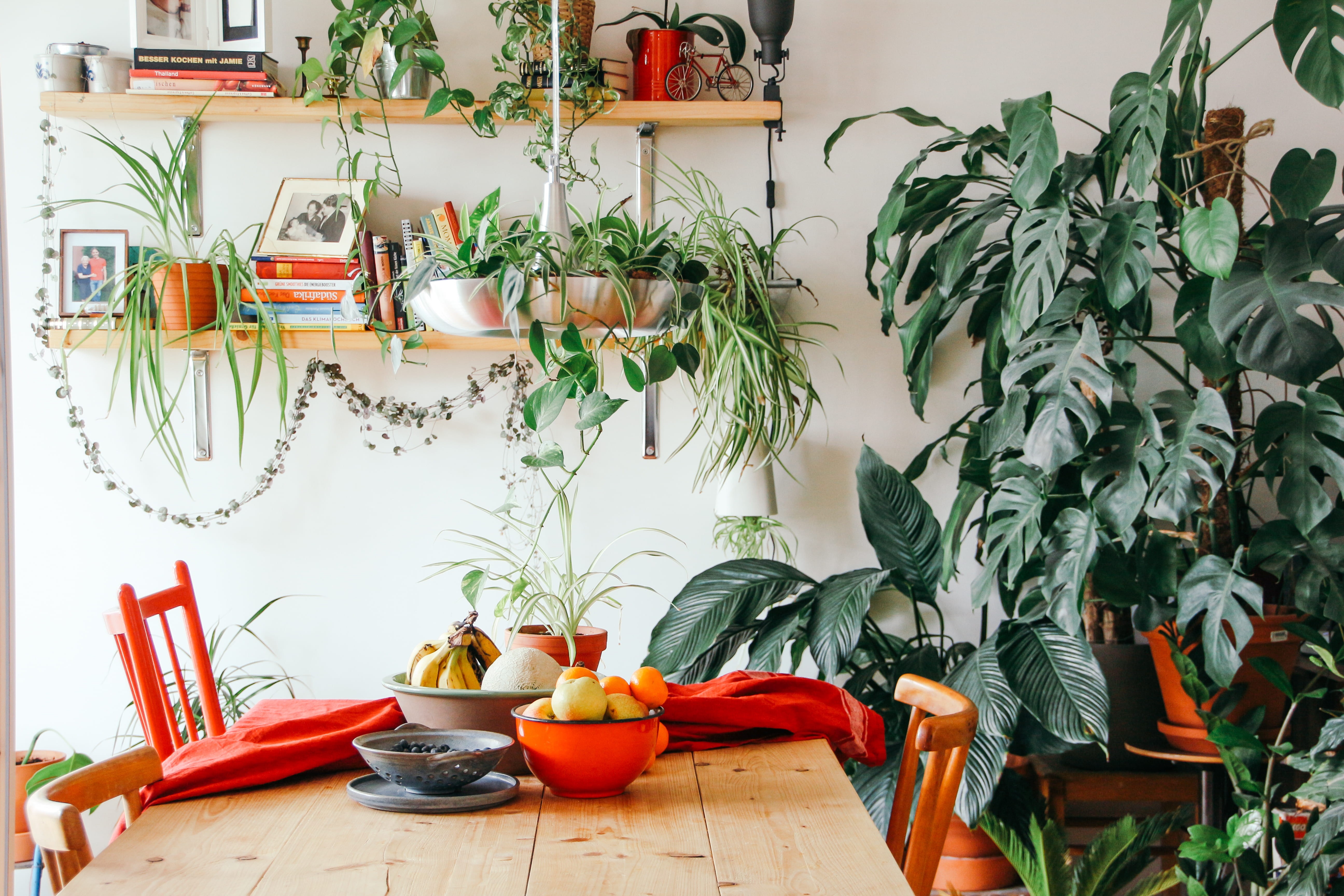 breakfast, weisenau, home, table, germany, bowl, crockery, full, interior, potted plant, mainz, fruit bowl, plant part, design, wooden, indoors, plant, HD Wallpaper