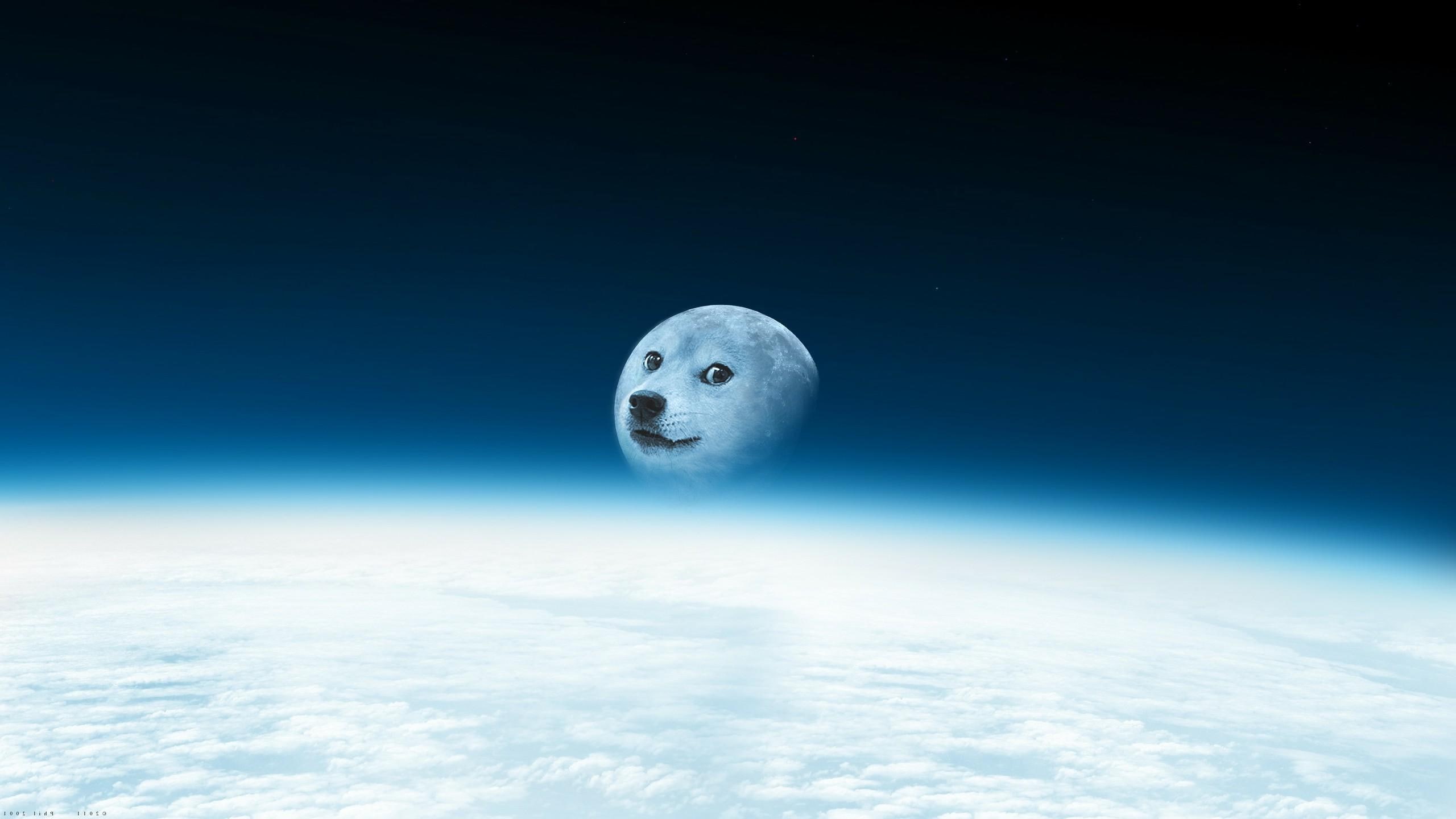 2K, doge, HD Wallpaper