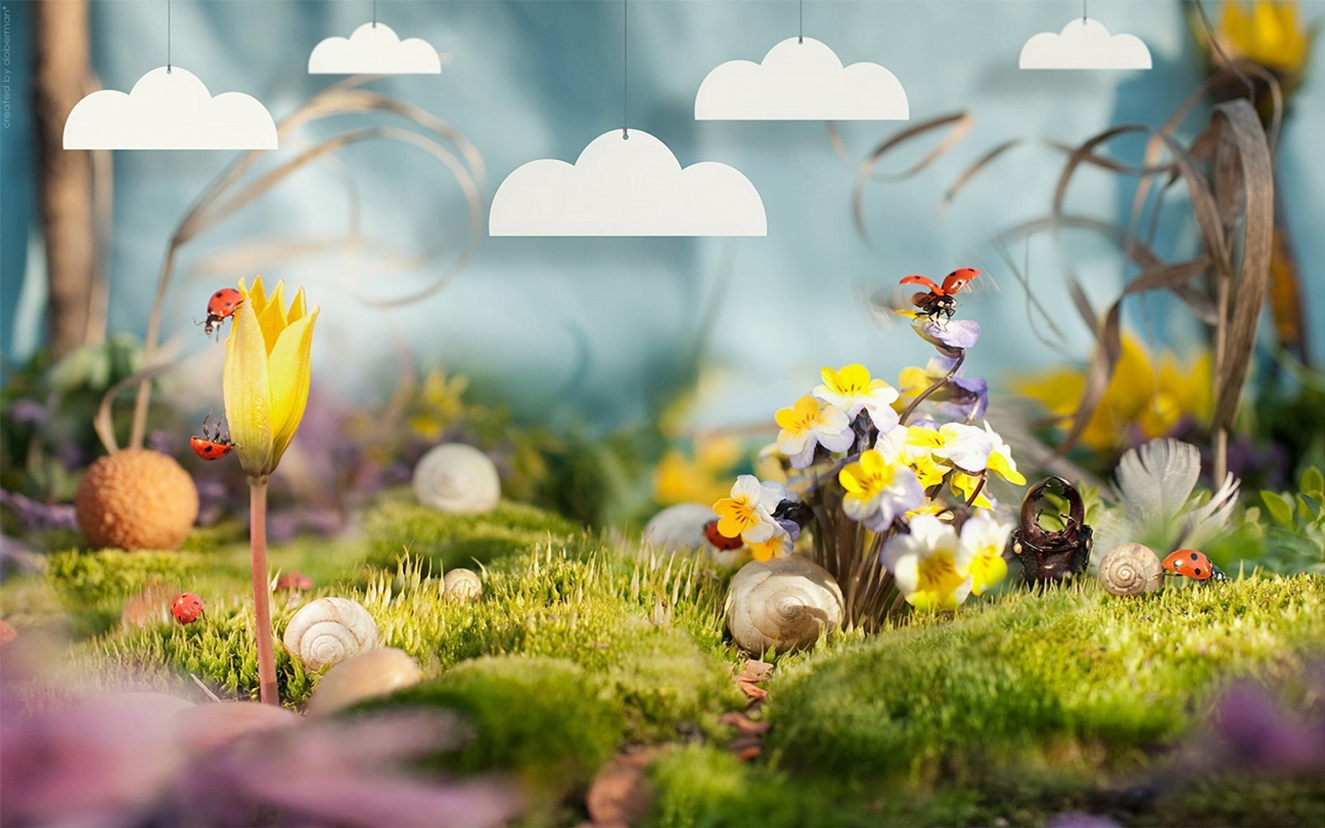flowers, ladybug, spring, 1080P, happy, bee, atmosphere, HD Wallpaper