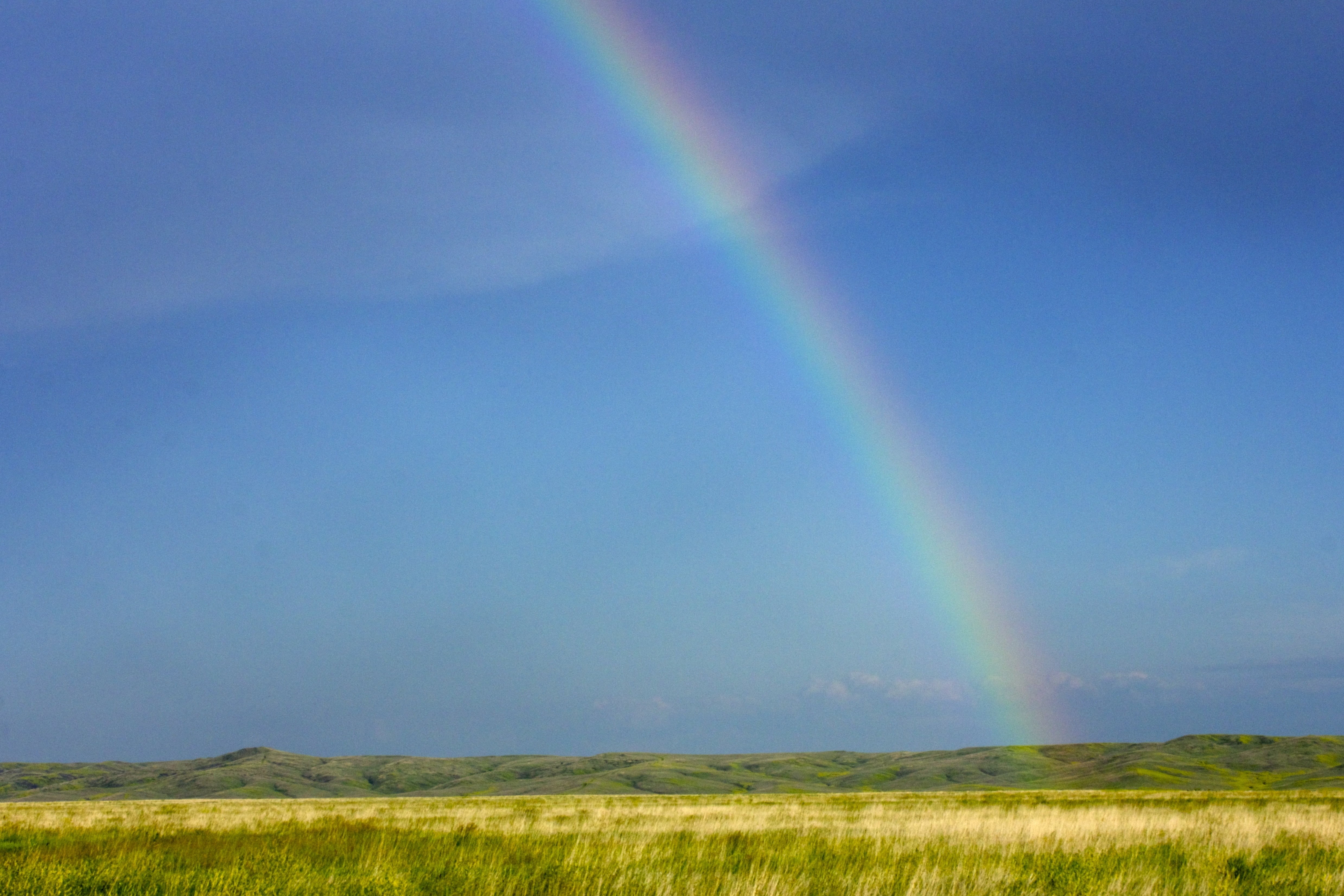 rice, multi colored, clouds, tranquil scene, field, day, environment, beauty in nature, rural, double rainbow, no people, tranquility, storm, natural phenomenon, HD Wallpaper