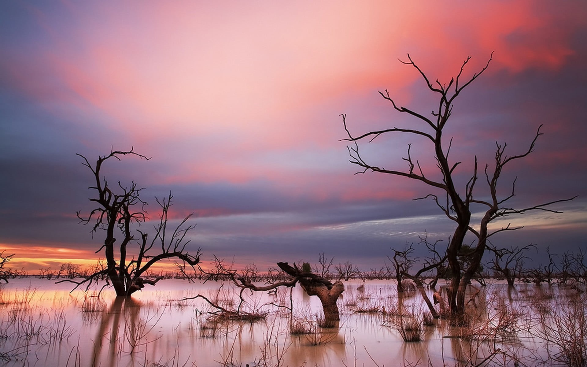 branch, sky, environment, 1080P, tranquil scene, sunset, beauty in nature, trees, landscape, tree, romantic sky, cloud - sky, nature, water, dramatic sky, HD Wallpaper