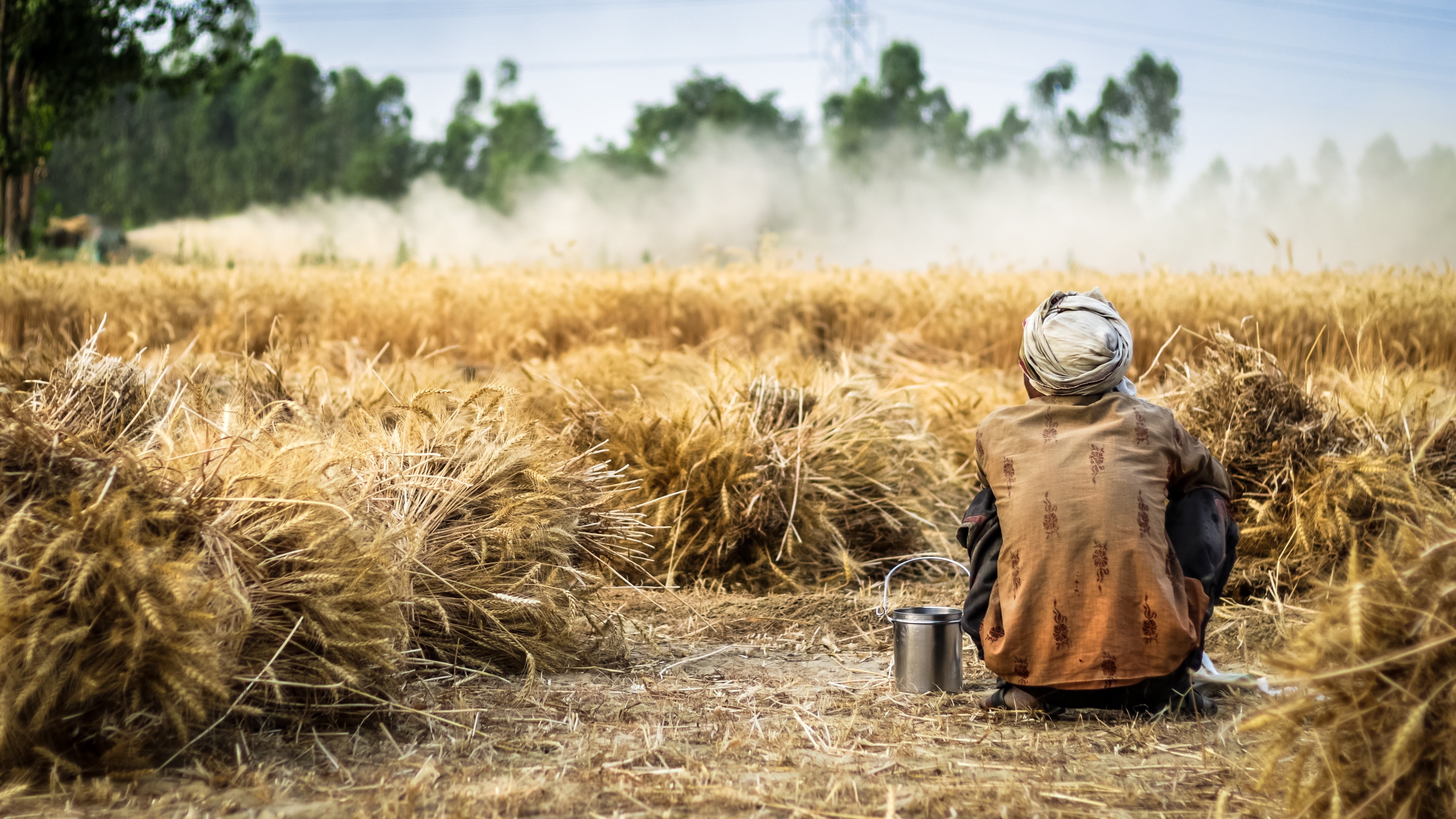 summer, landscape, field, seed, autumn, day, hat, land, obscured face, wheat, country, cereal, brown, grain, plant, wearing, natural, sky, person, tree, HD Wallpaper