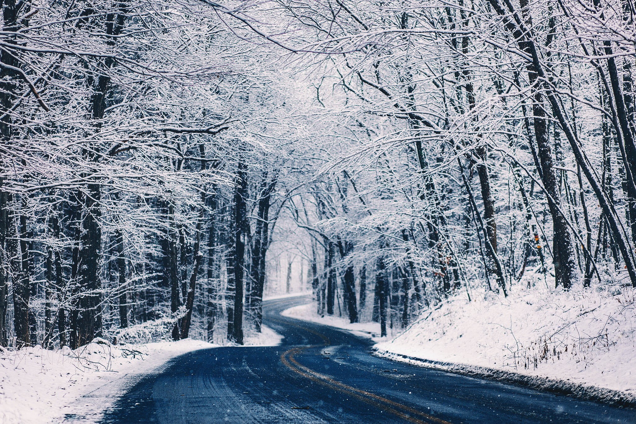 outdoors, plant, snow, cold temperature, empty, woodland, forest, direction, white color, transportation, trees, beauty in nature, 1080P, tranquil scene, HD Wallpaper