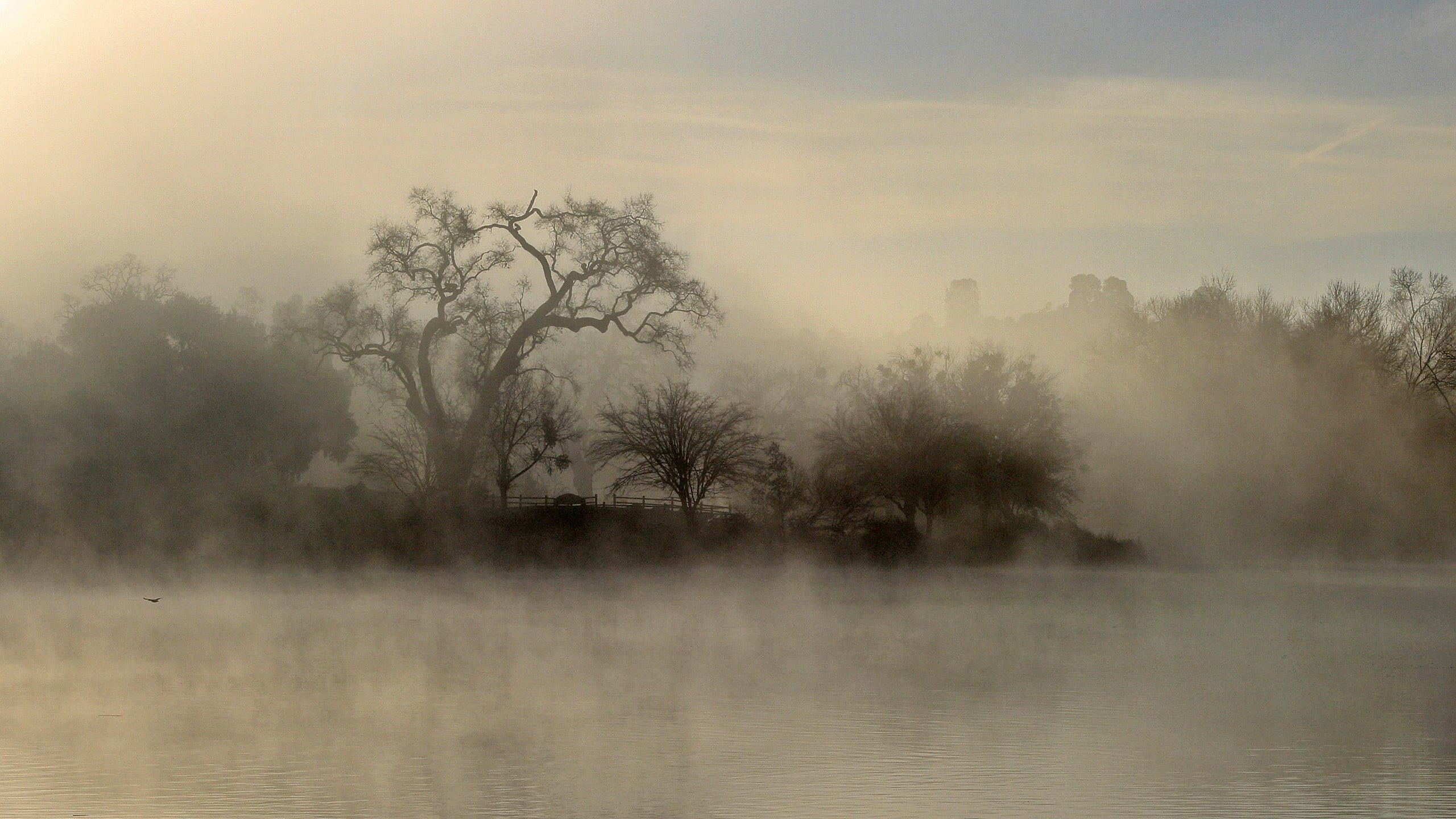 outdoors, lake, scenics - nature, morning, tree, land, smog, 2K, sky, landscape, tranquil scene, tranquility, mist, withered, plant, fog, river, beauty in nature, HD Wallpaper