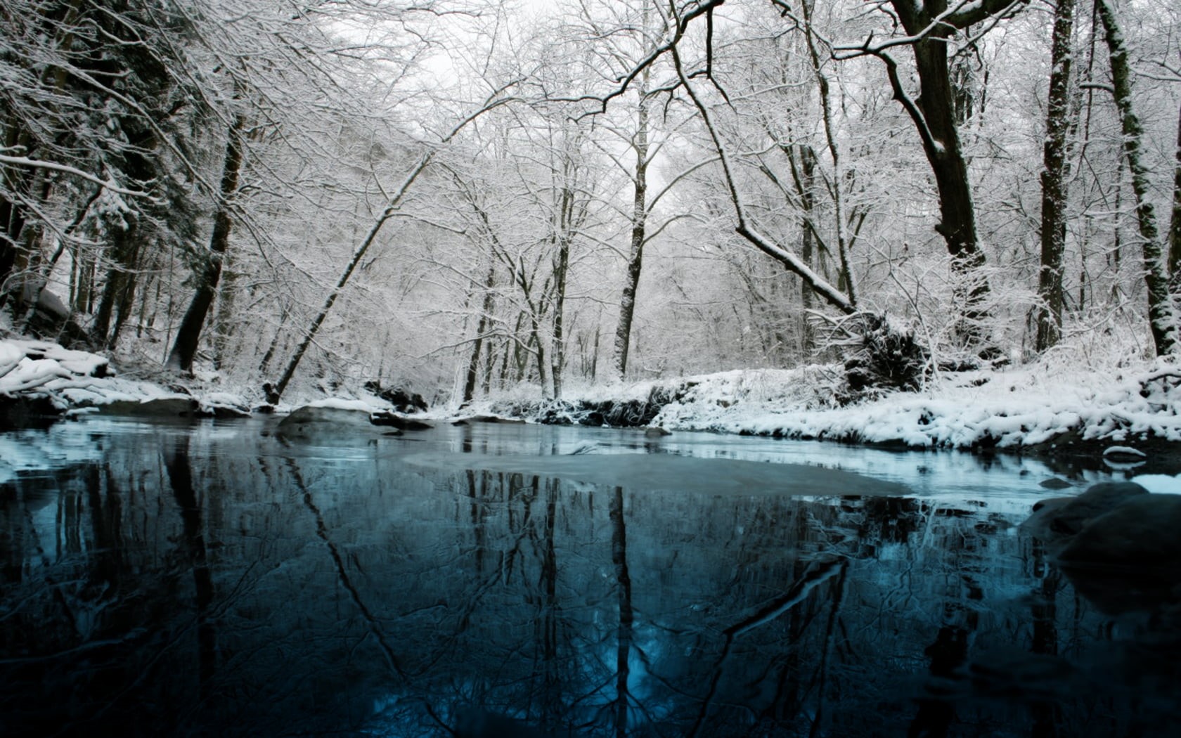 cold temperature, waterfront, winter, ice, frozen, woodland, nature, lake, plant, tranquility, water, withered, 720P, tree, outdoors, snow, forest, day, HD Wallpaper